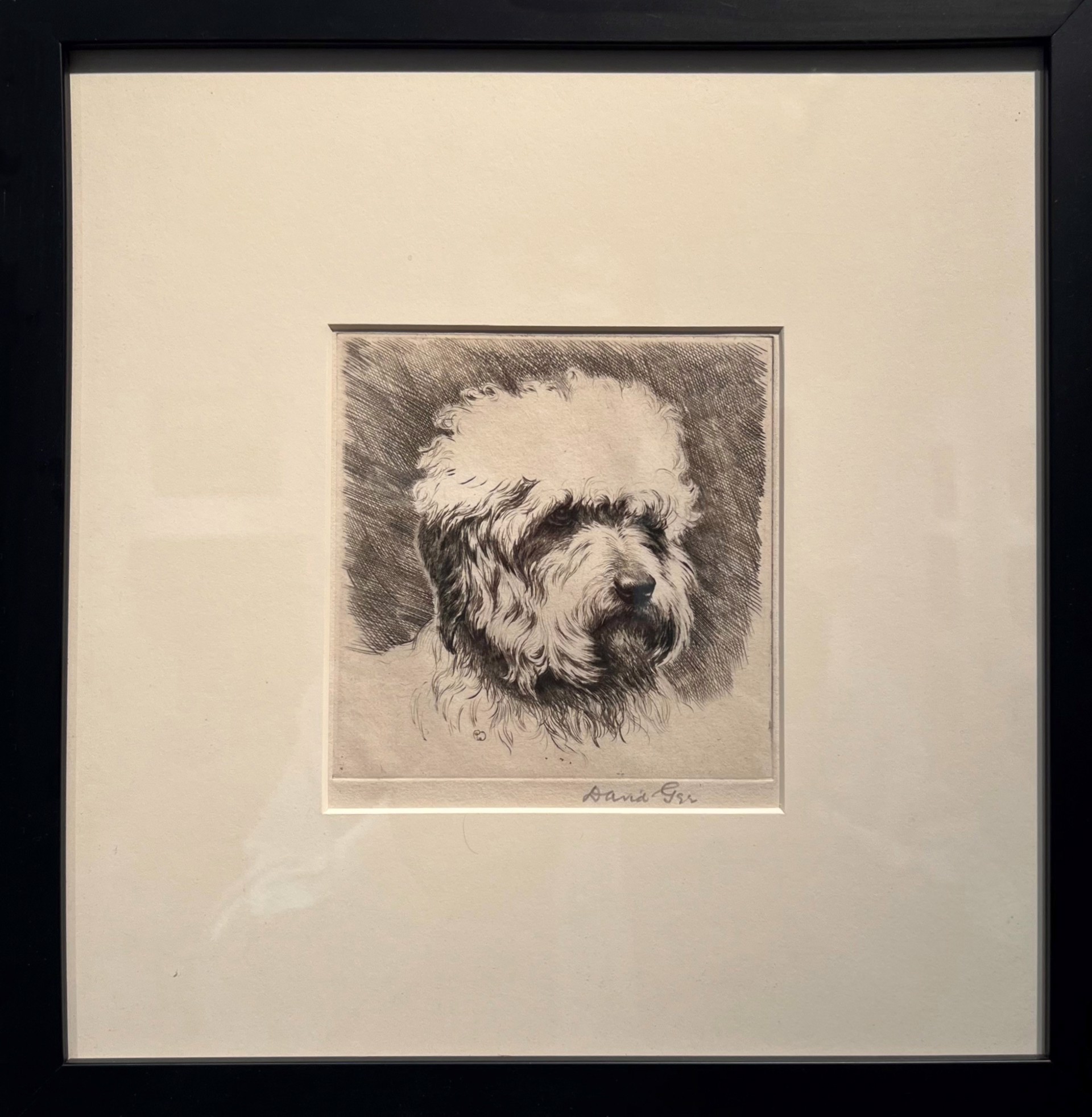 Dandie Dinmont Terrier by David Gee