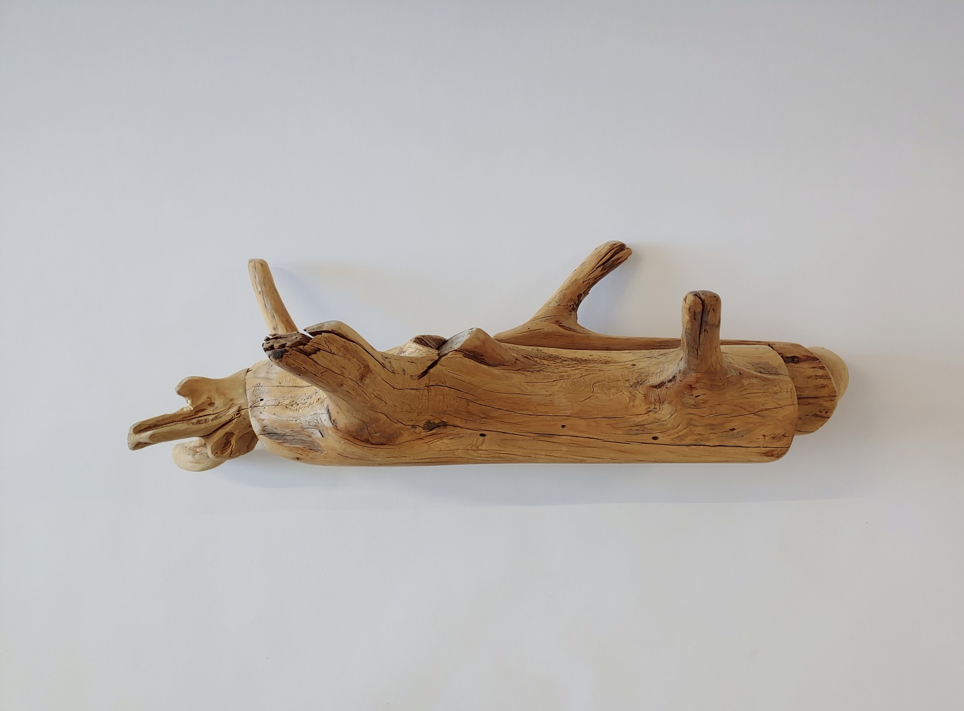 Dog - Wood Sculpture by David Amdur