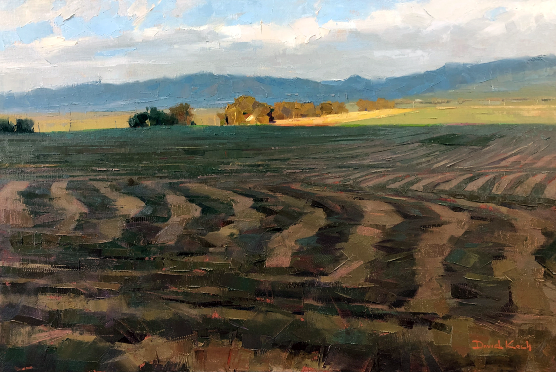 Second Crop Patterns by David Koch