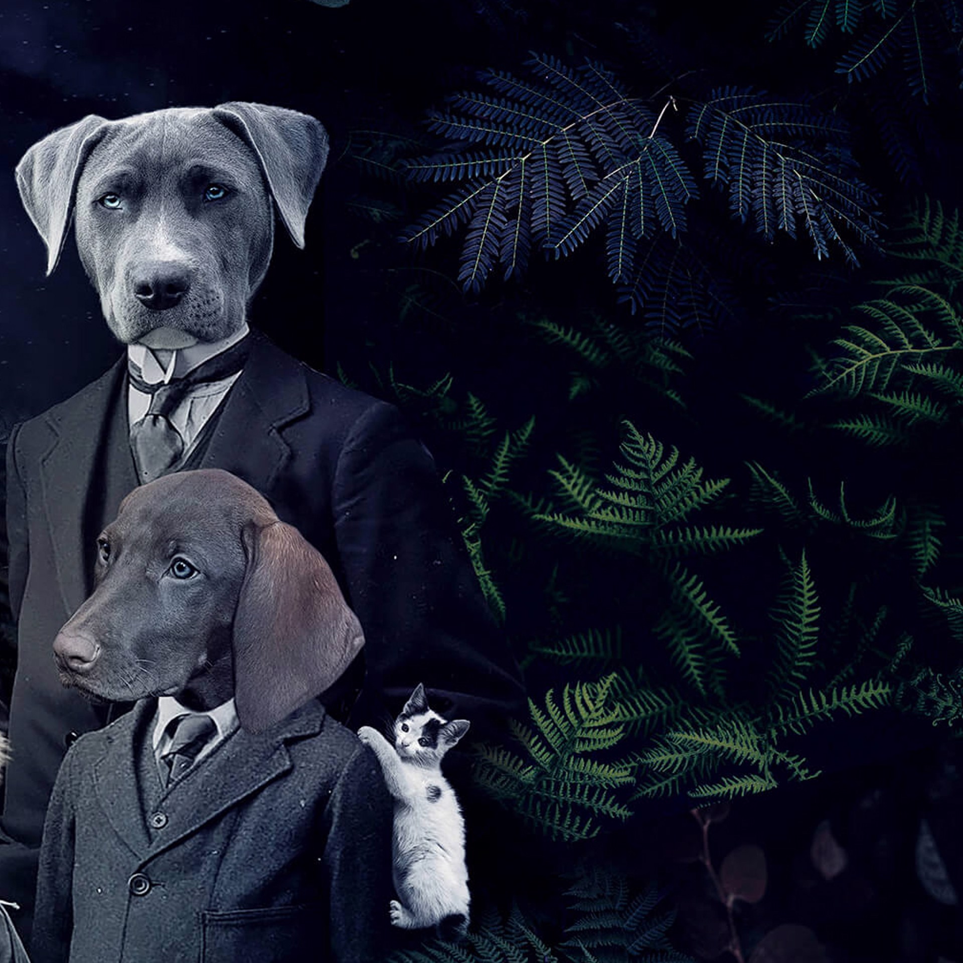 Never forget the Forest - Dogs by Marcin and Kate Owczarek