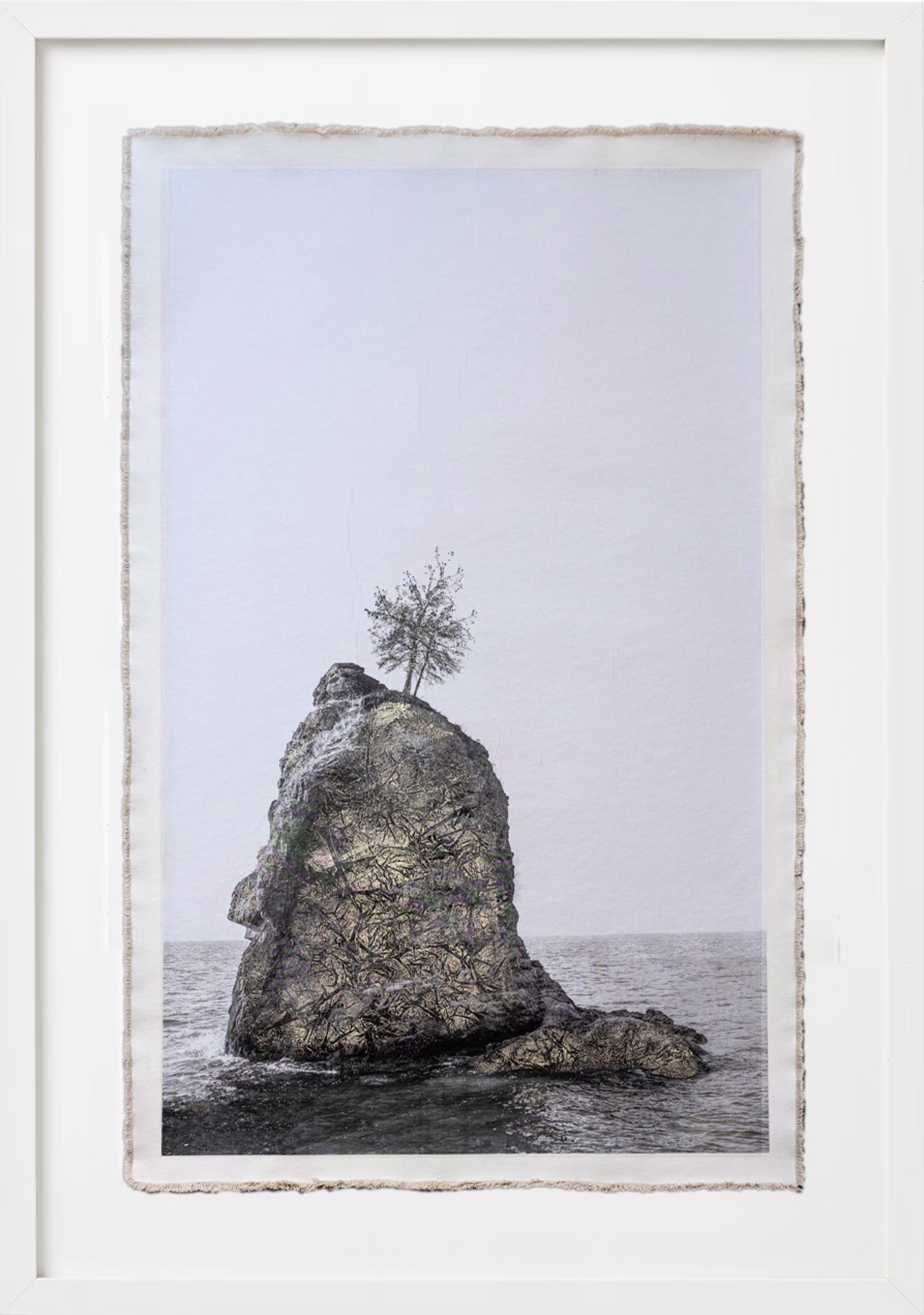 Standing Man Rock, Stanley Park by Bill Claps