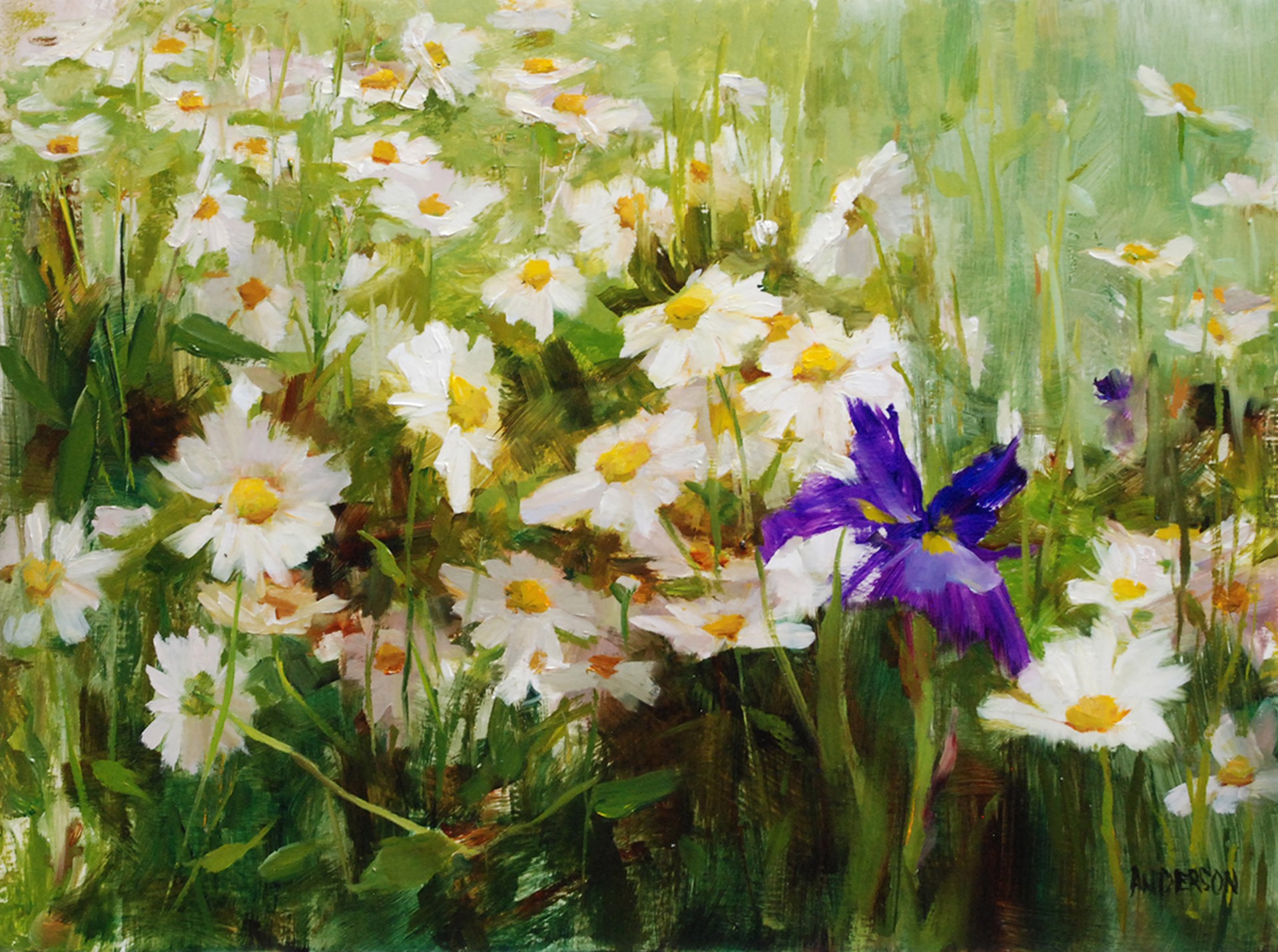 Purple Iris and Daisies by Kathy Anderson