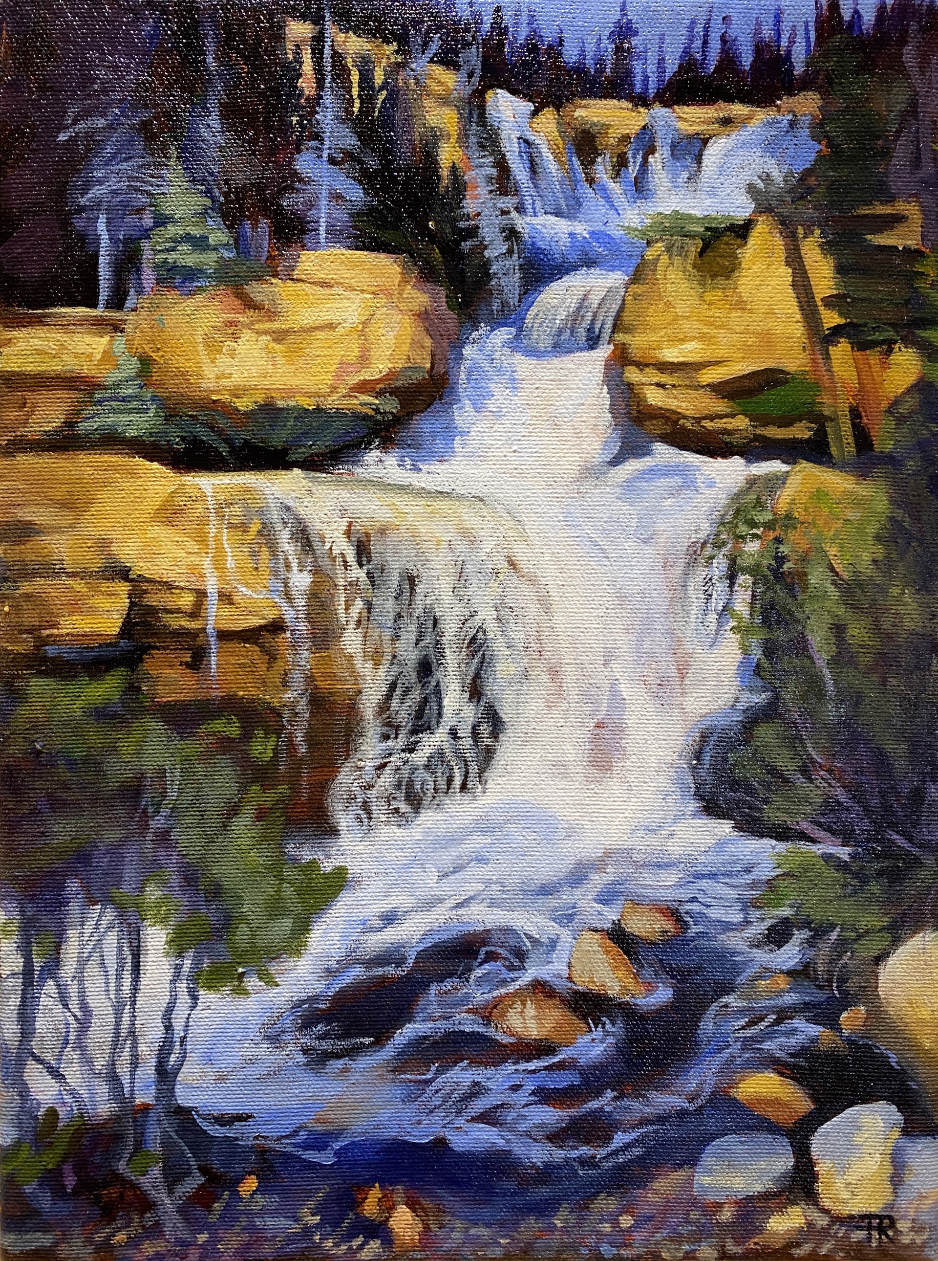 Study of Tangle Falls by Pascale Robinson