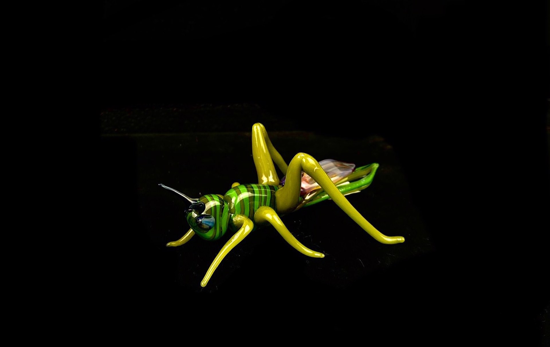 Grasshopper by Loy Allen