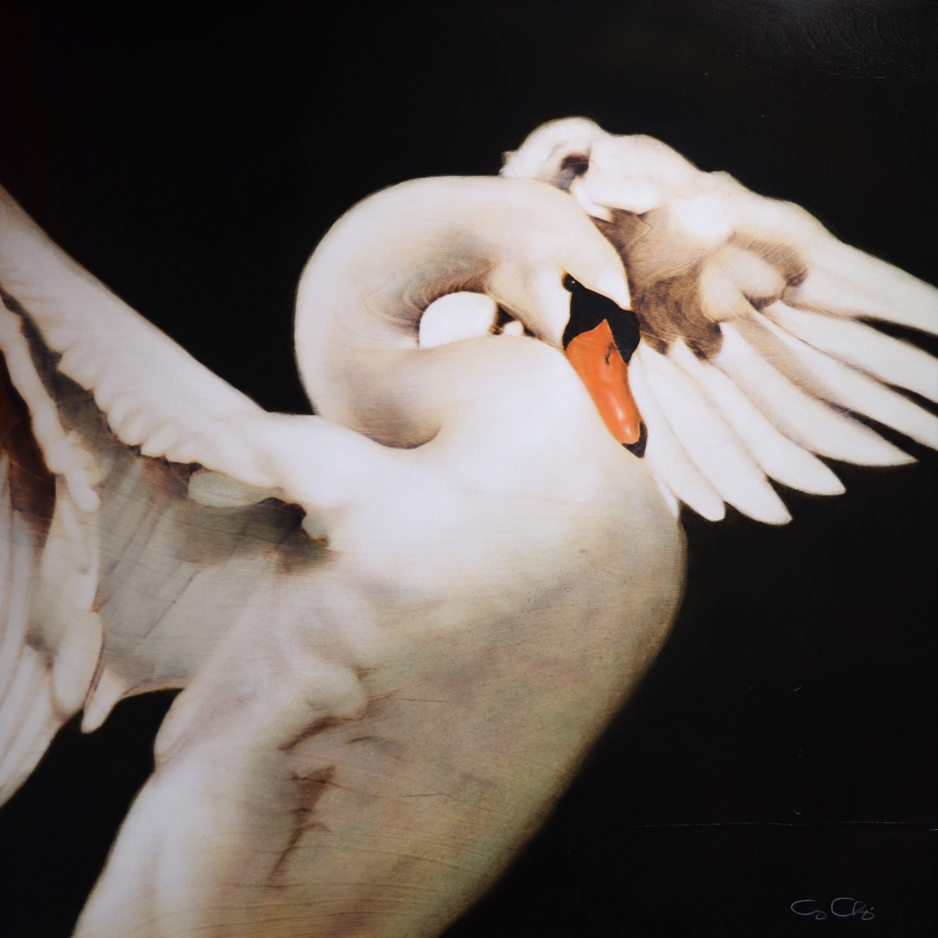 Swan by George Charriez