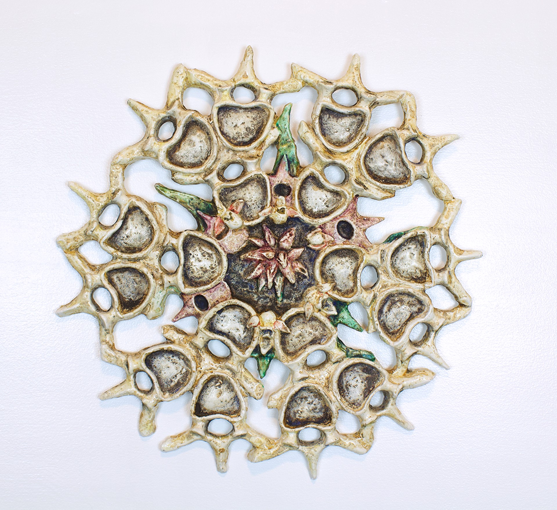 Vertebrae Mandala by Chicory Miles