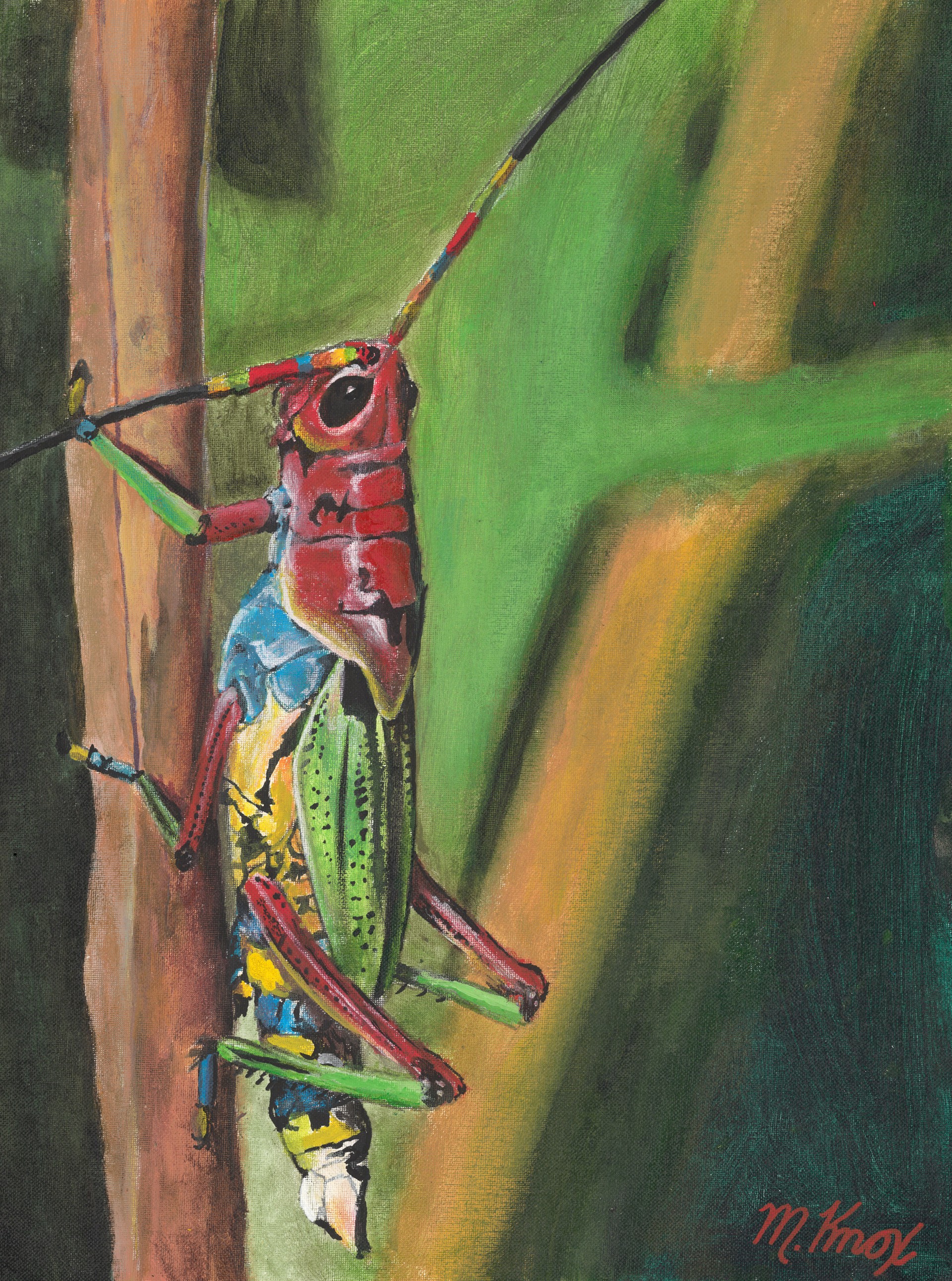 Rainbow Grasshopper by Mike Knox