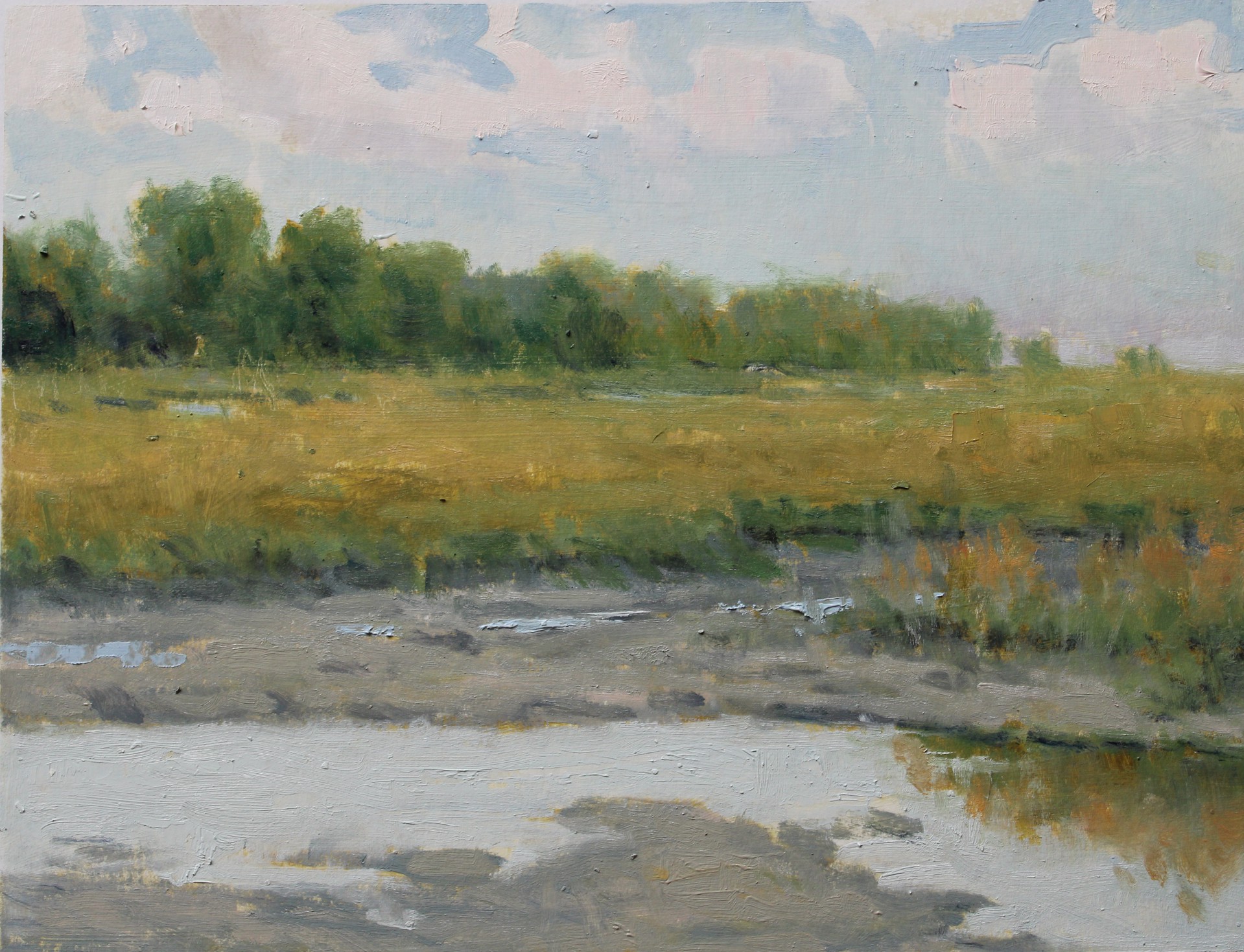 Abundant Marsh by John Stanford