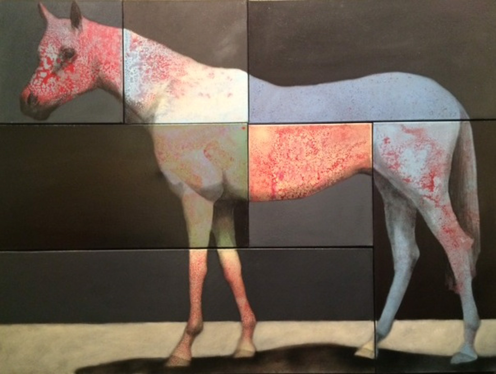 Horse 216 by Brian Hibbard