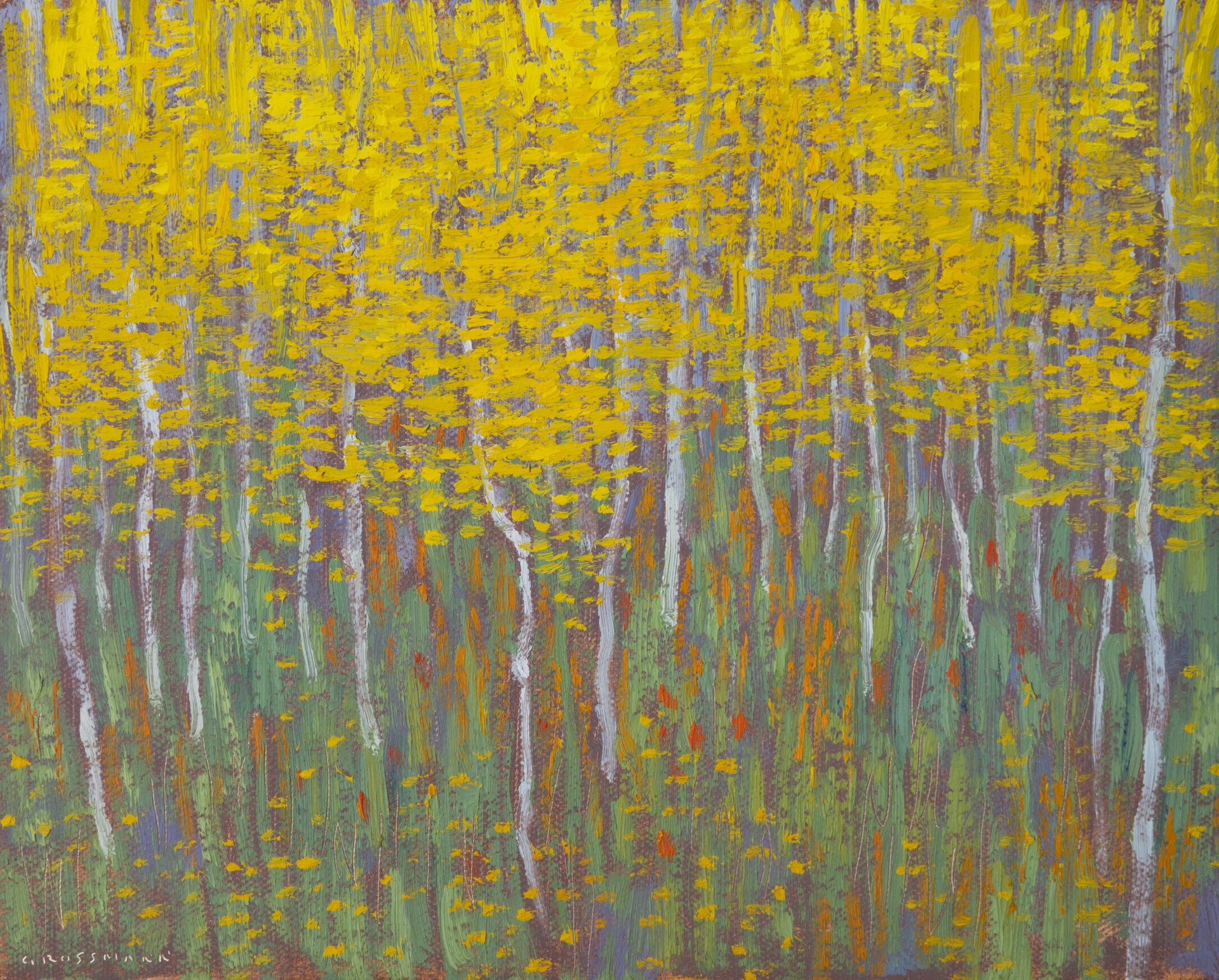 Aspens in Yellow Leaves by David Grossmann