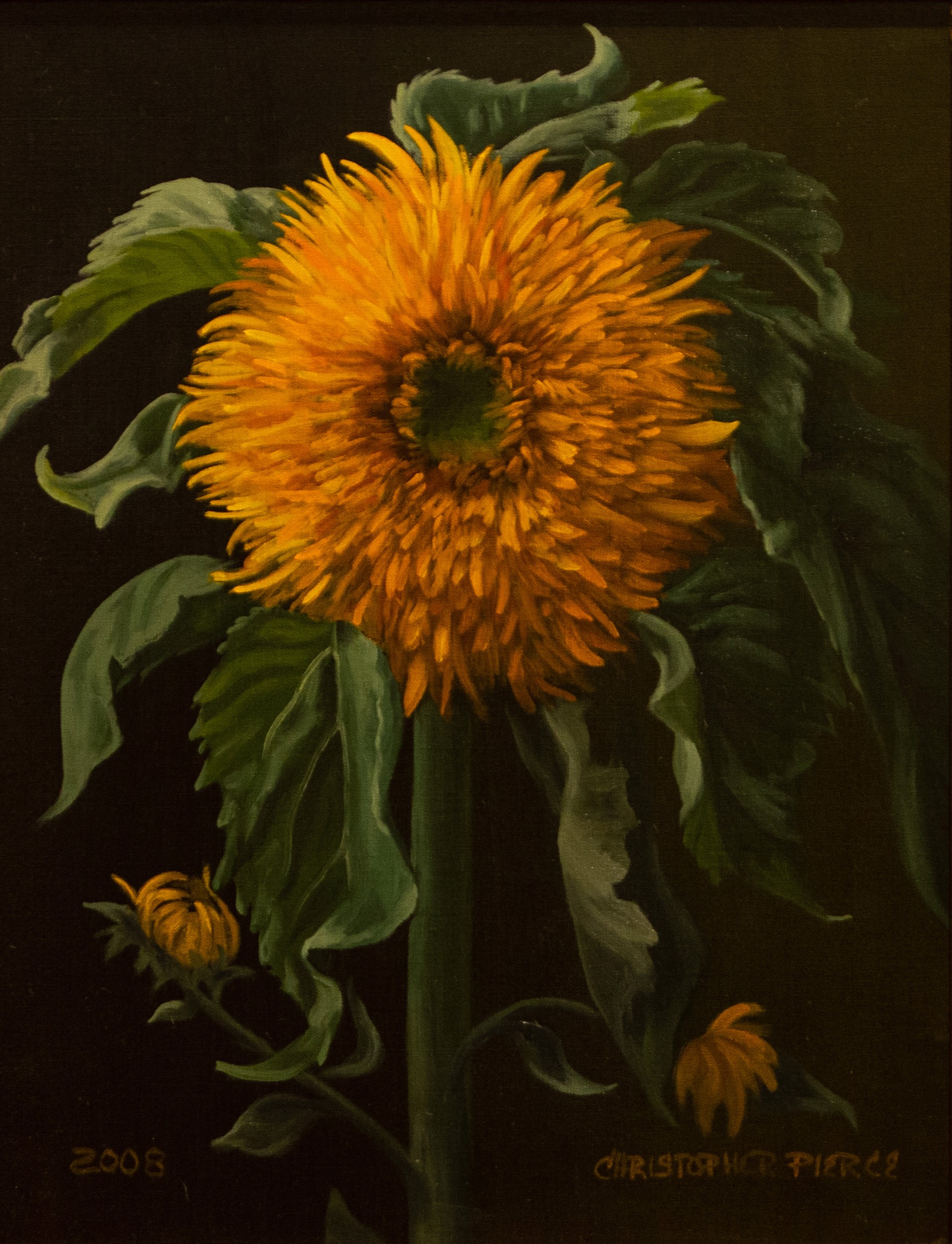 Double Sunflower by Christopher Pierce