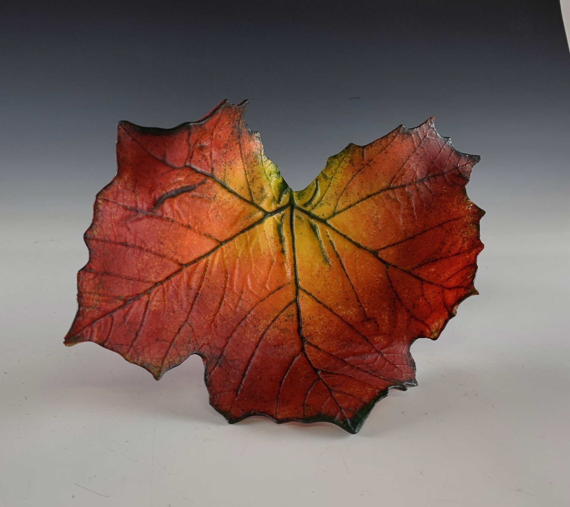 Sycamore Leaf - Orange, Red, Yellow by Deb Williams