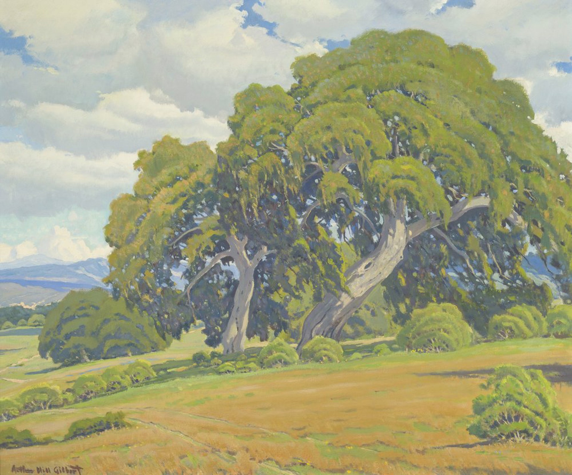 Monterey Oaks by Arthur Hill Gilbert