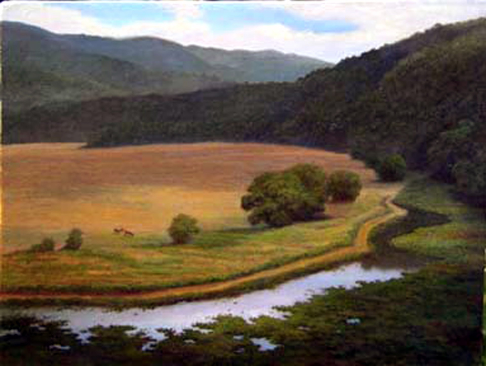 Water Meadows by John Mac Kah