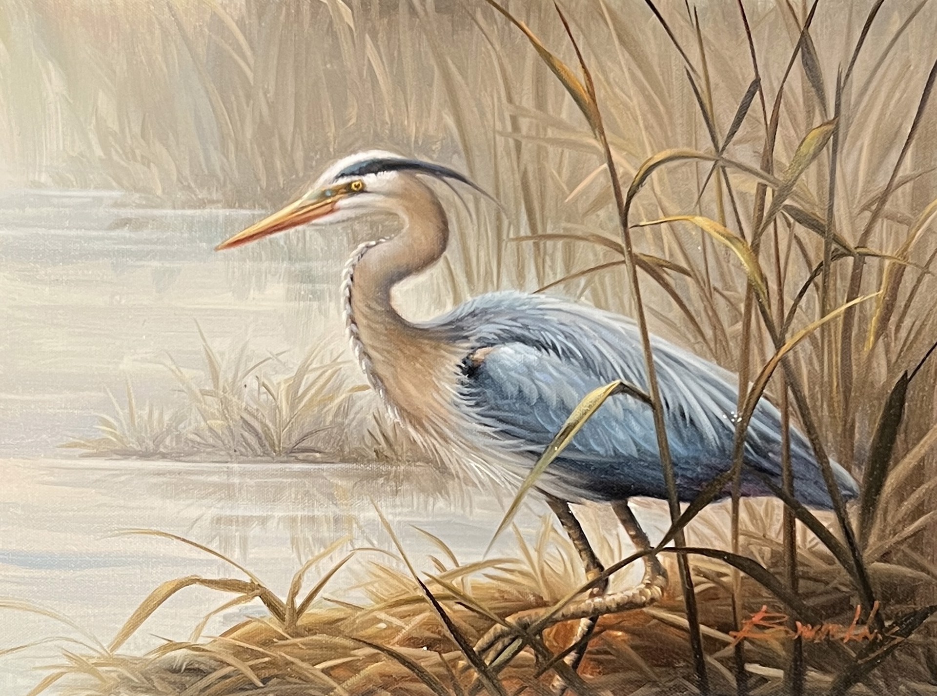 HERON BY WATER'S EDGE by BRUNELLY