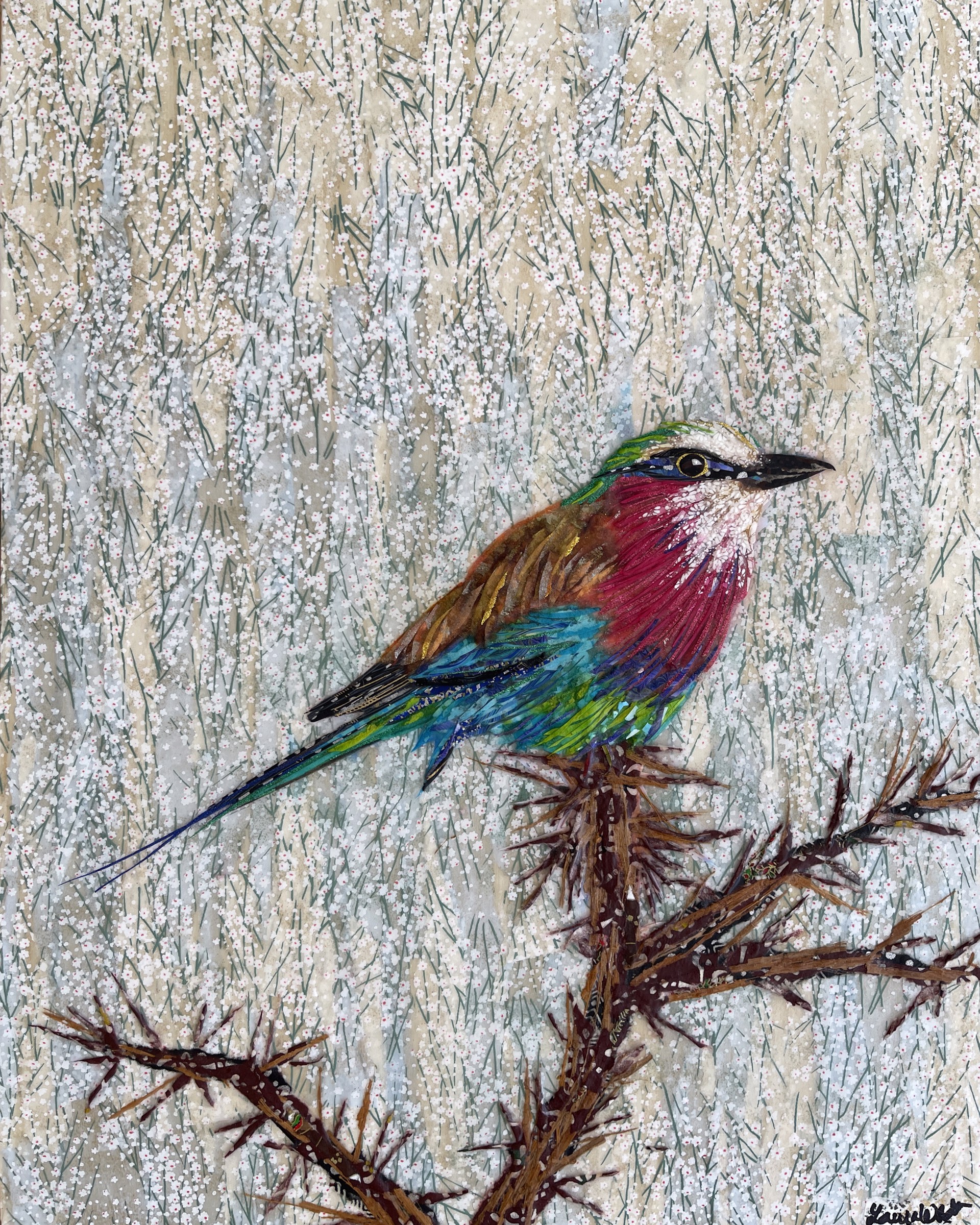 Lilac Breasted Roller by Laura Adams