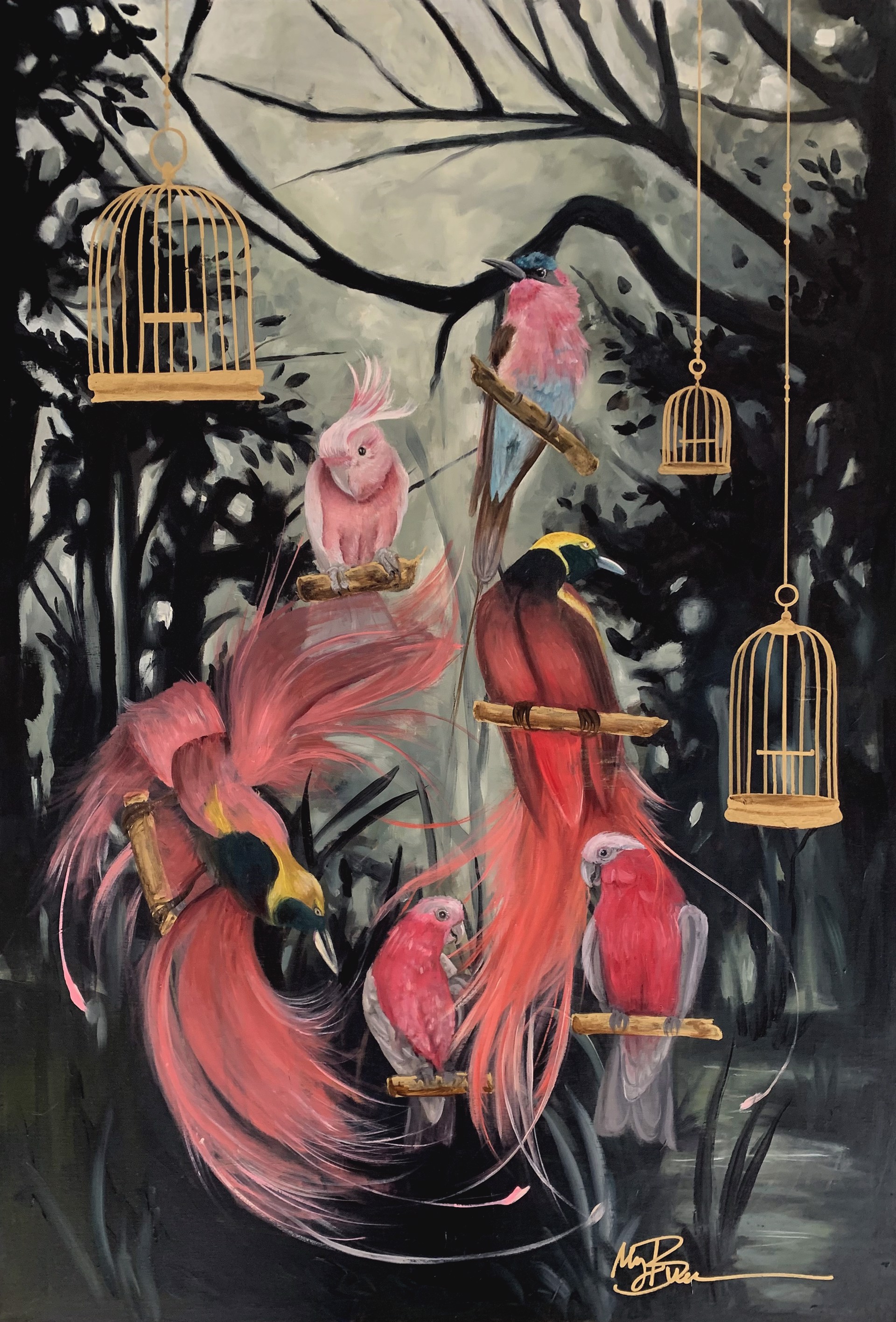 Birdcage Series by Megan Buccere