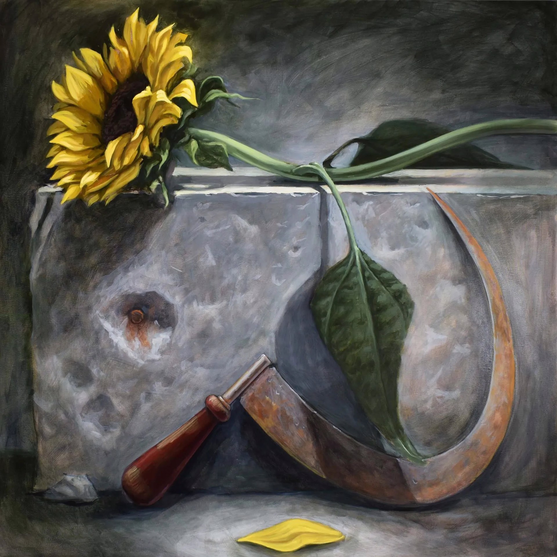 Soniashnyk (sunflower) by Brian McClear