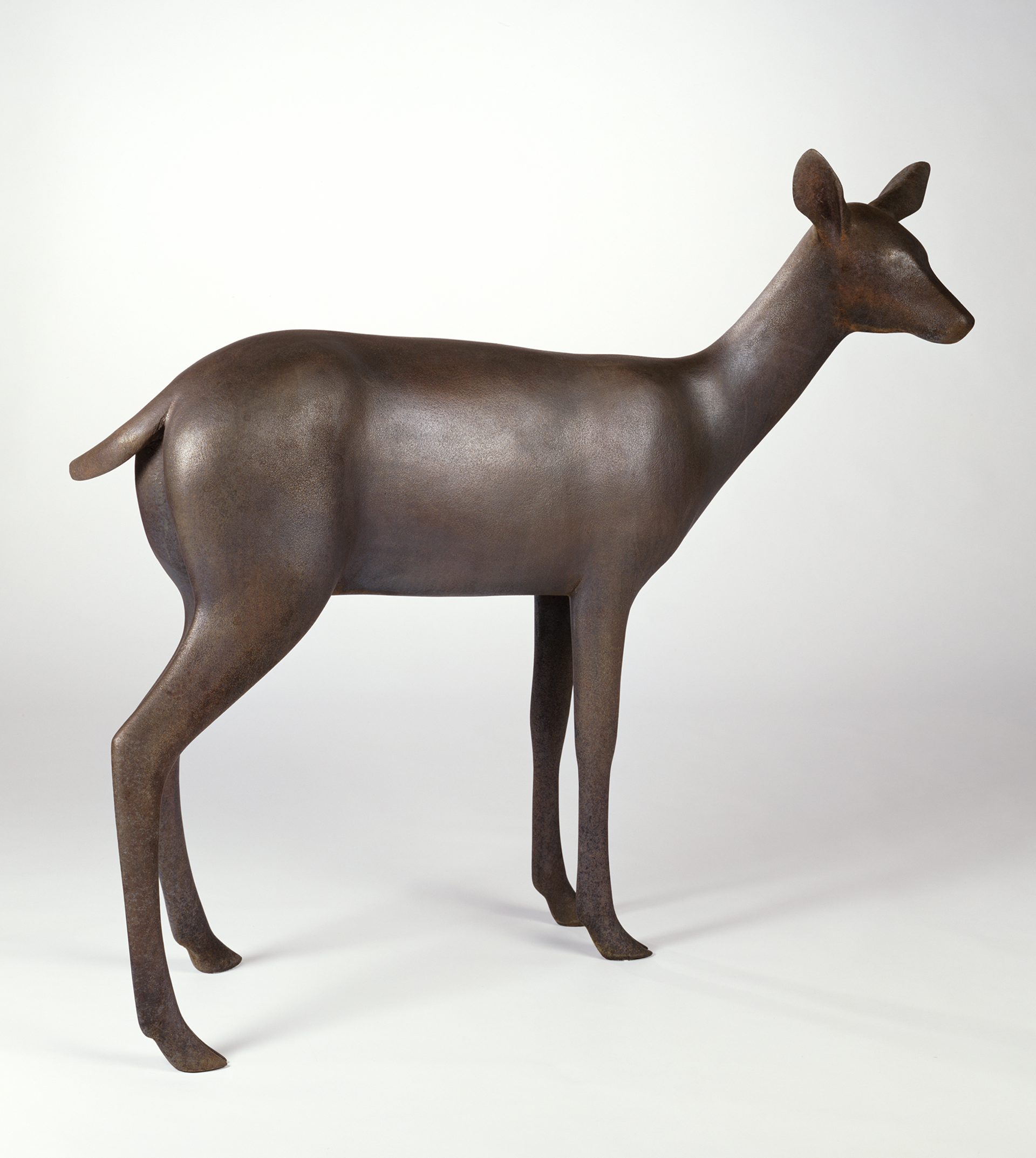 Deer 5     5/6 by Gwynn Murrill