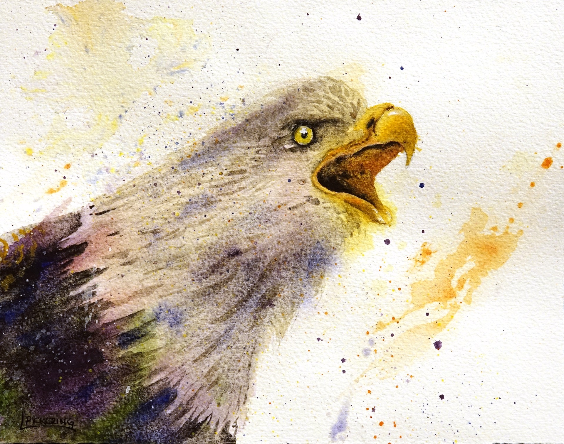 Screaming Eagle by Laura Pickering