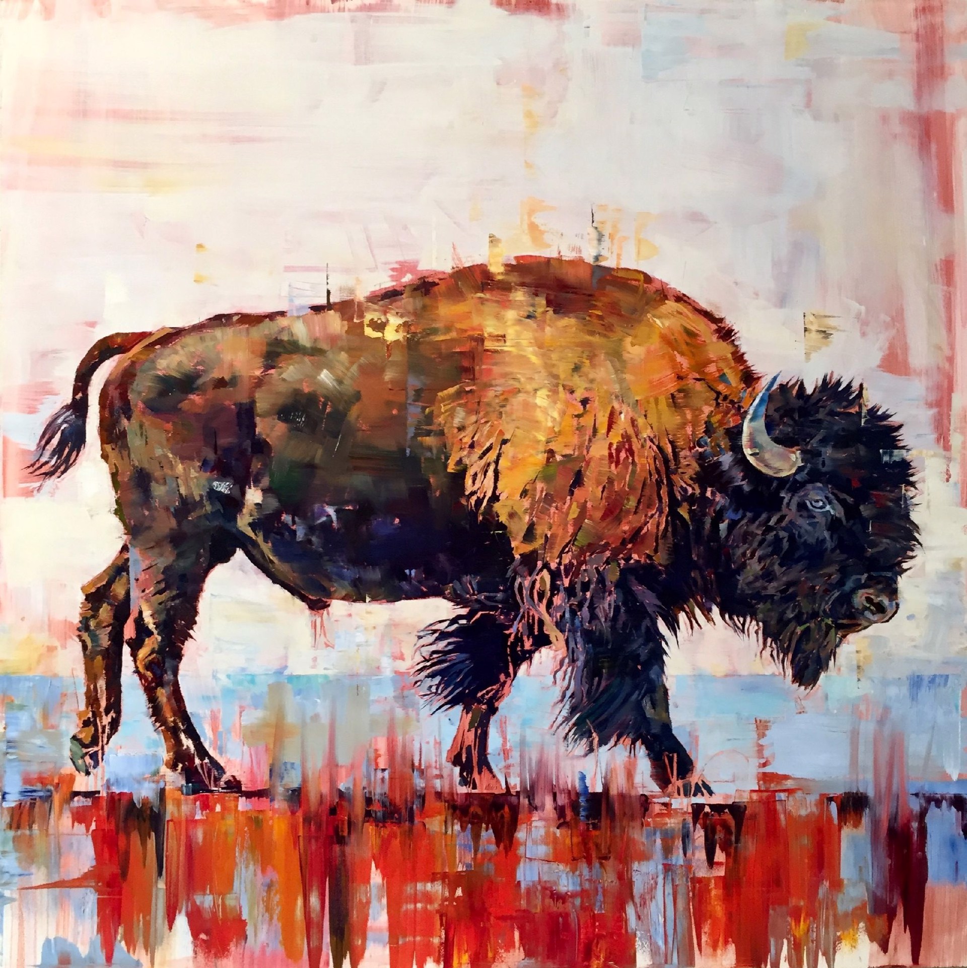 Blue Eyed Buffalo by Douglas Schneider