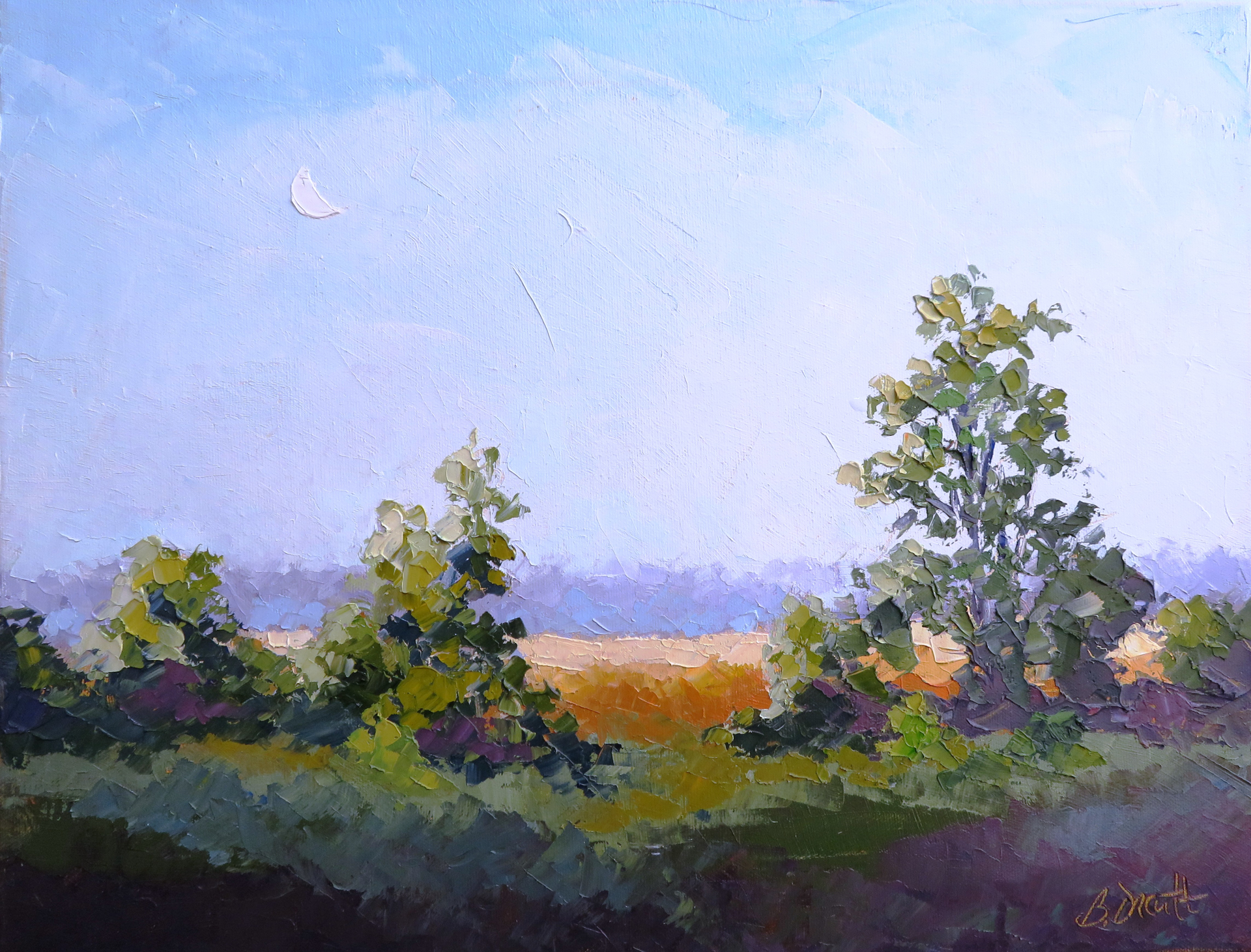 Moonrise Over the Marsh by Brenda Orcutt