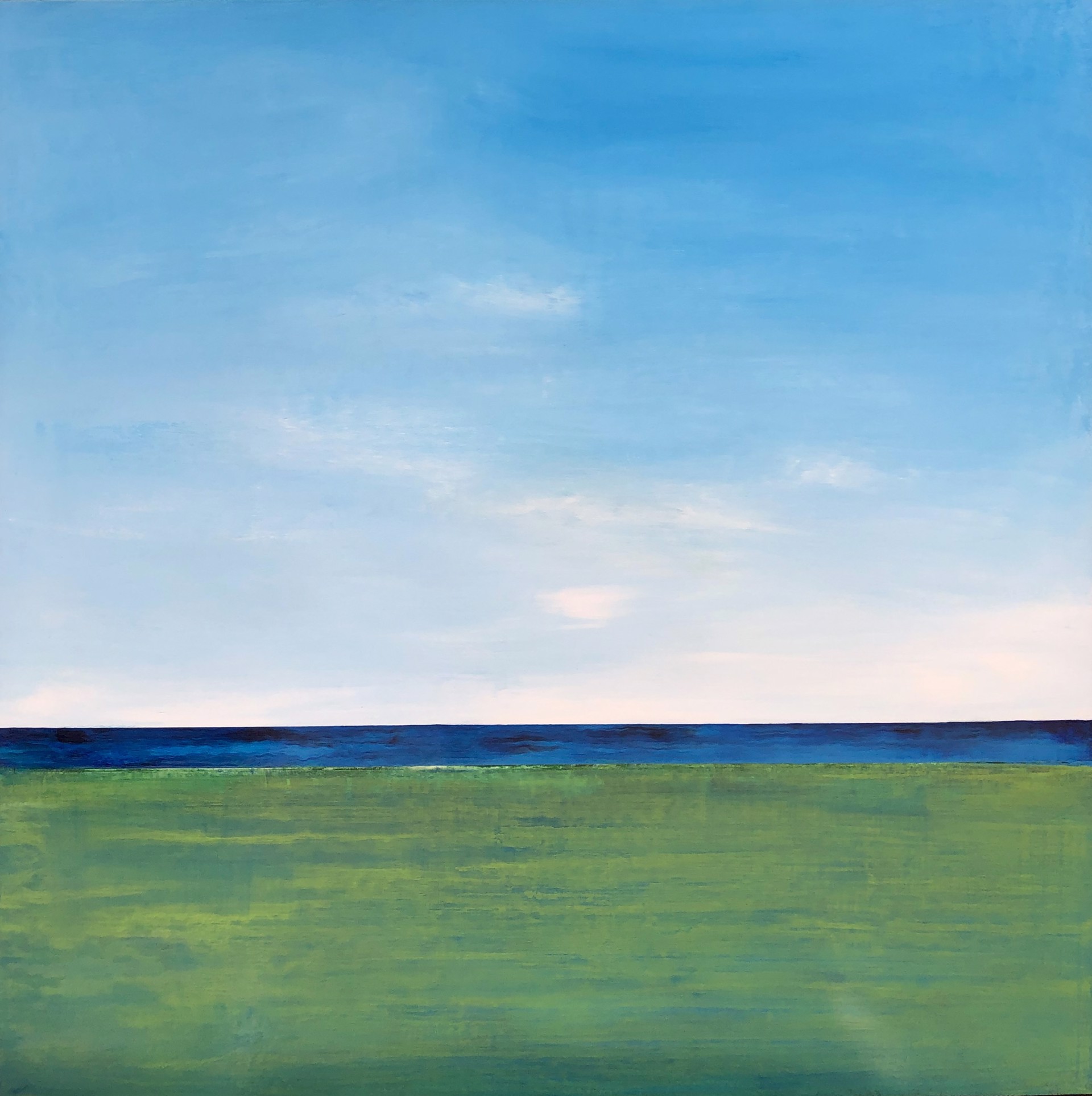 Seascape with Marsh by John Narron