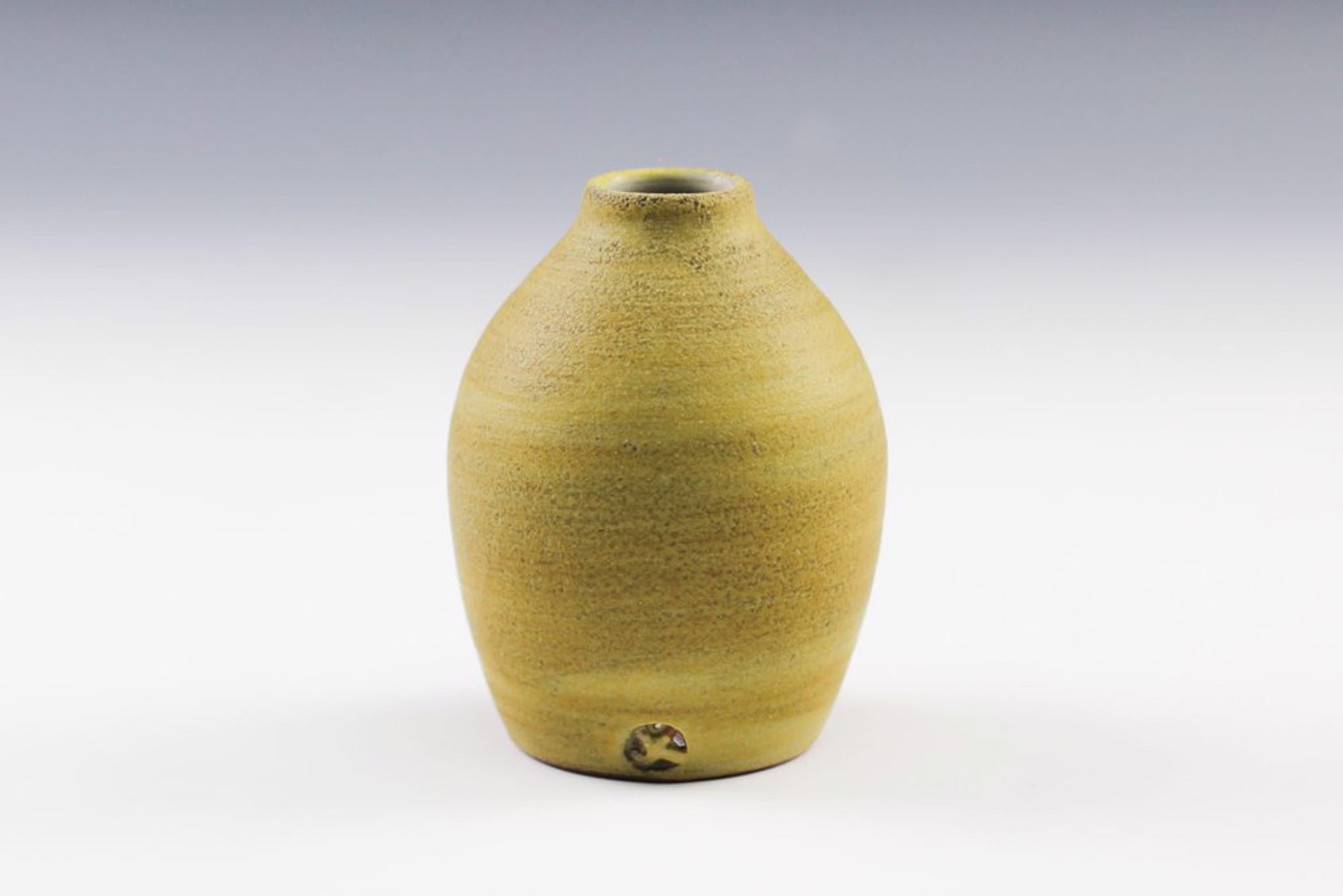 Small Vase by Joanne Kirkland