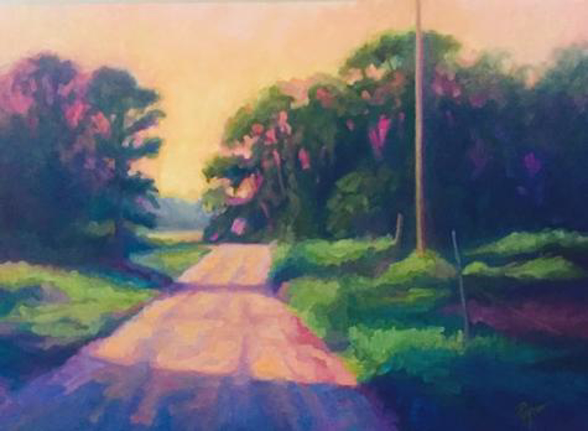 Edisto Road by Tammy Papa