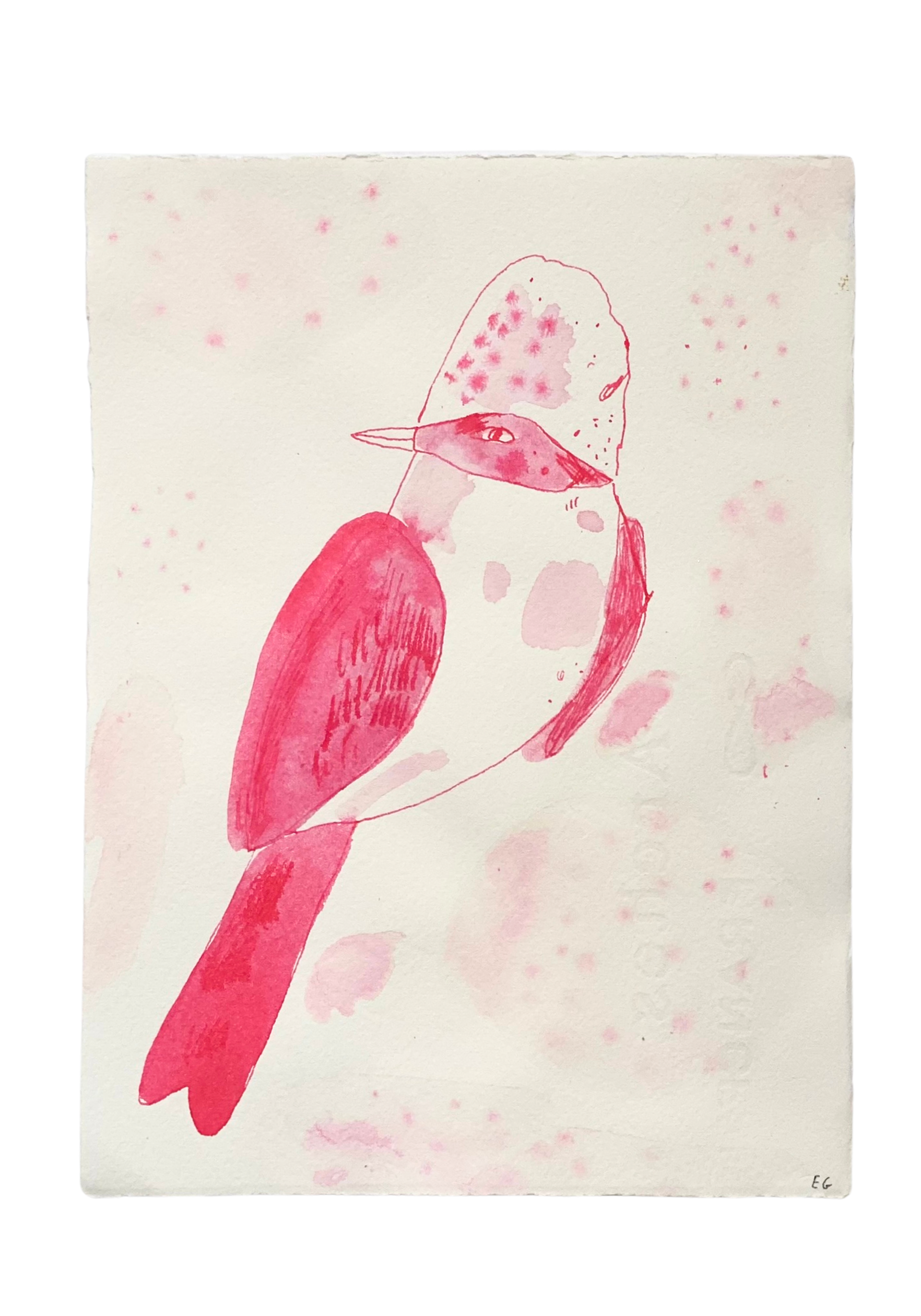 Pink Inkwash Bird #5 by ELIZABETH GRAEBER