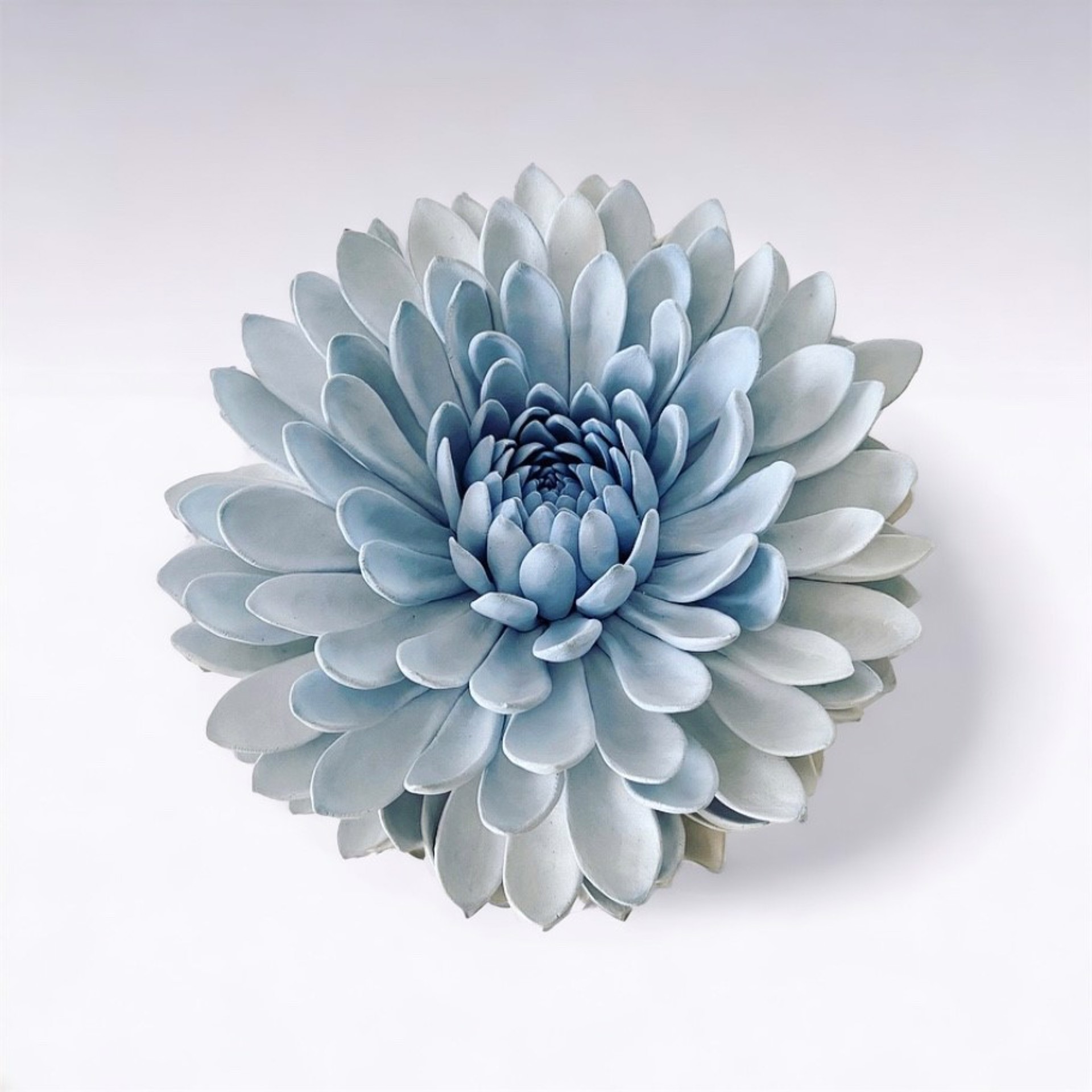 Cobalt Chrysanthemum by Owen Mann