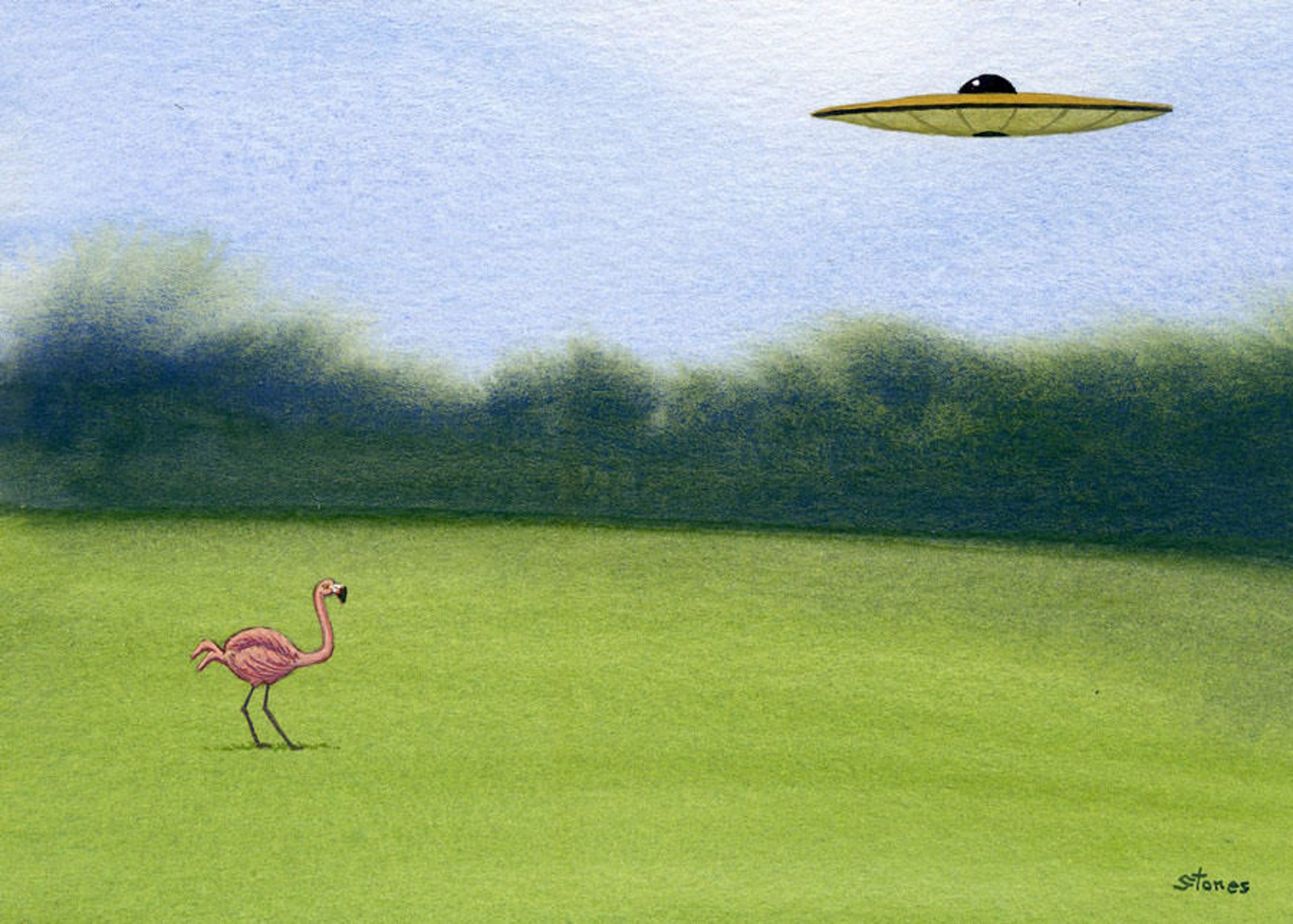 Flamingo Ponders Saucer by Greg Stones