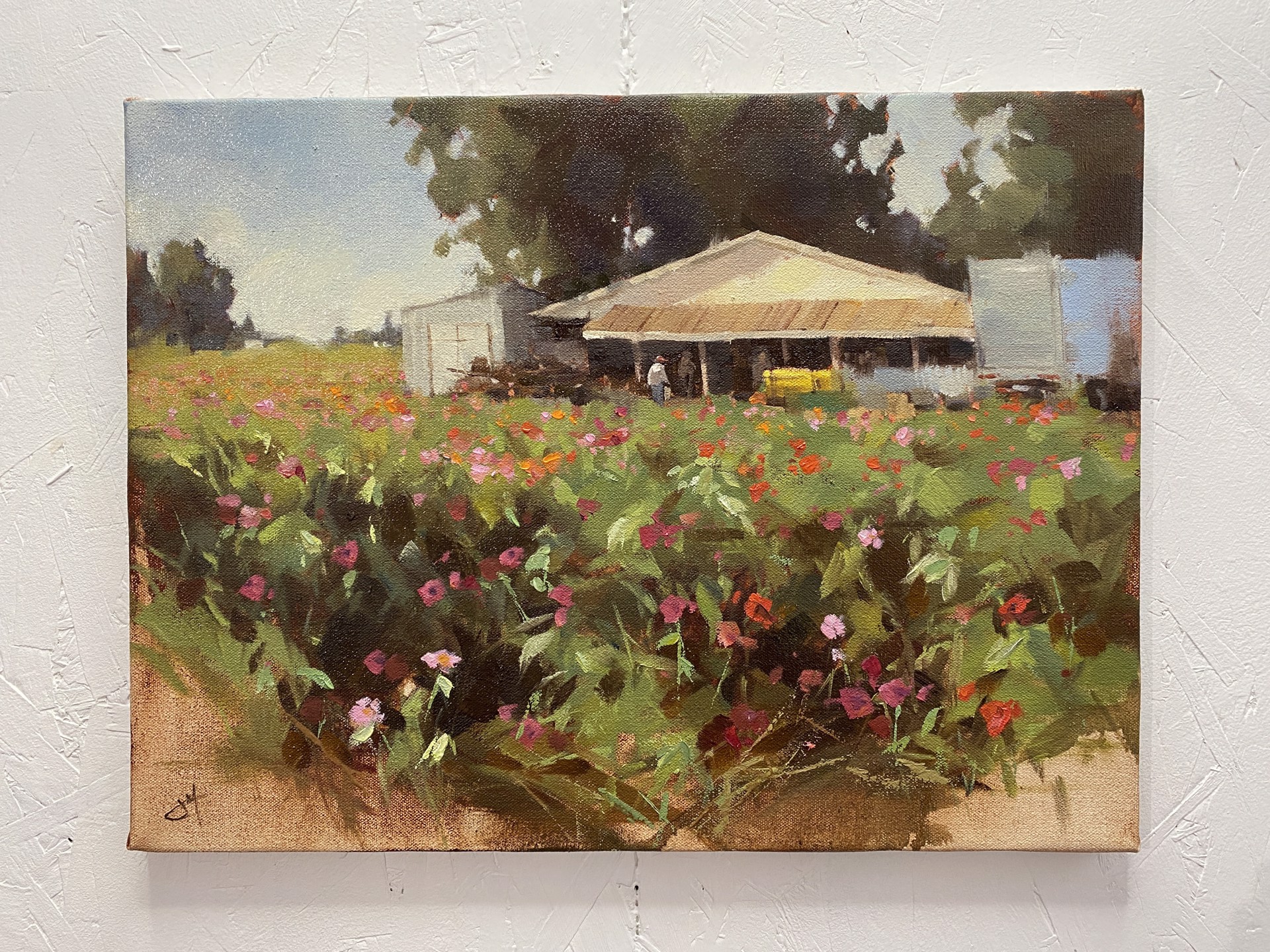 Flower Farm by Judd Mercer