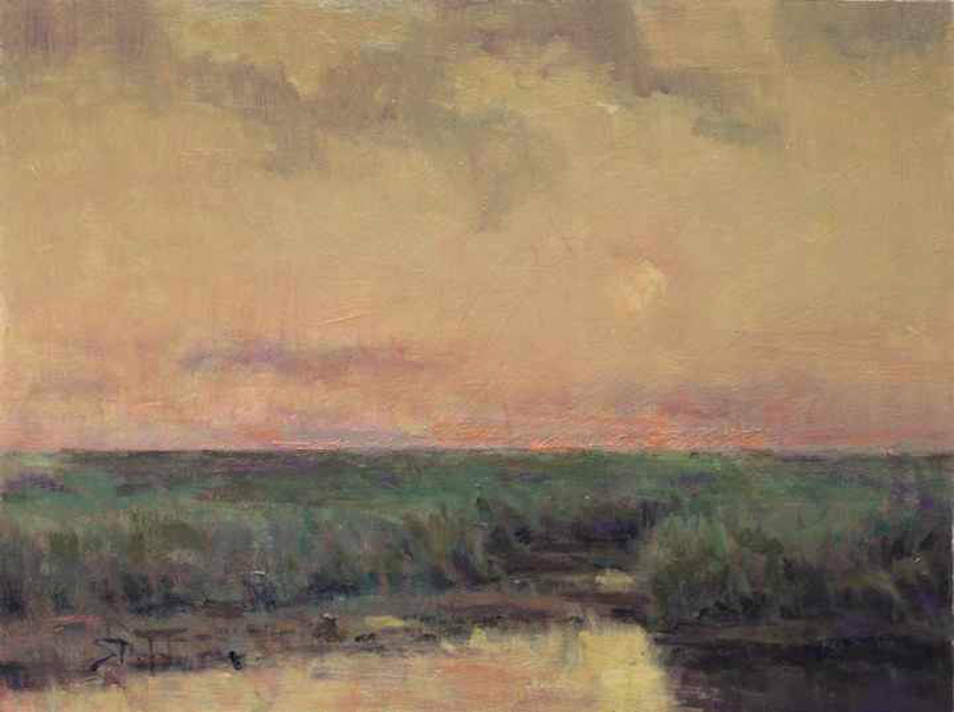 Warm Marsh by John Stanford