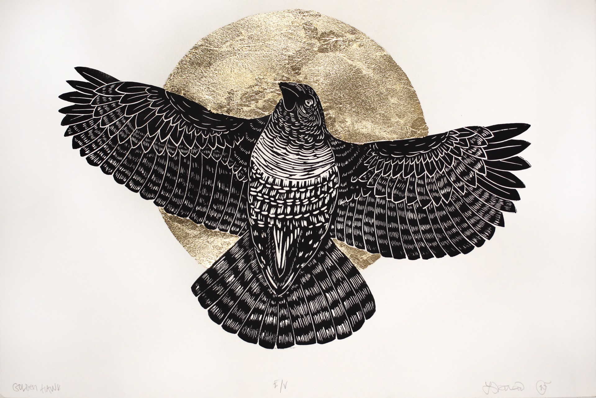 Golden Hawk (EV) by Luis Garcia