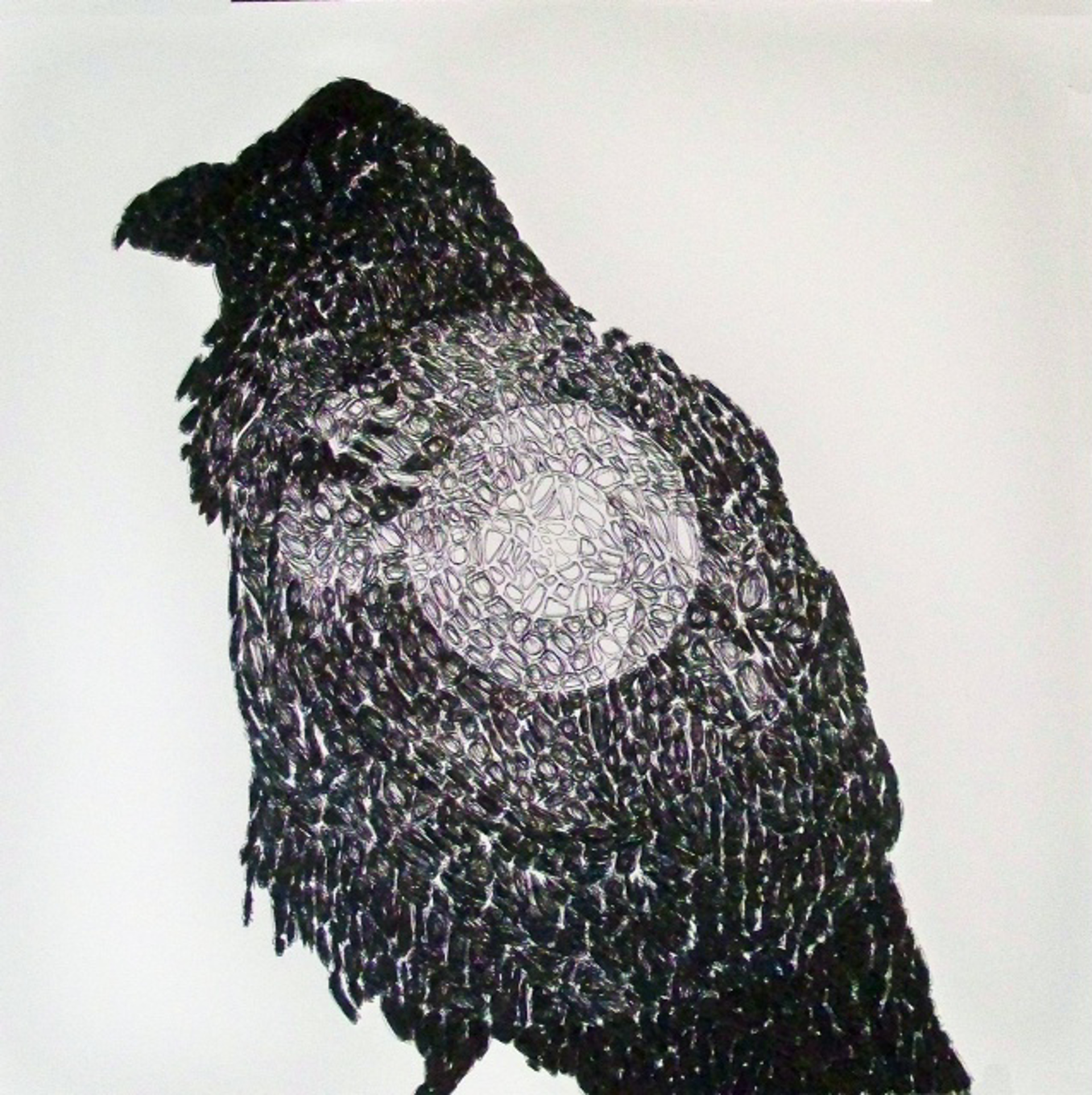 43,133 (Raven) by John Adelman