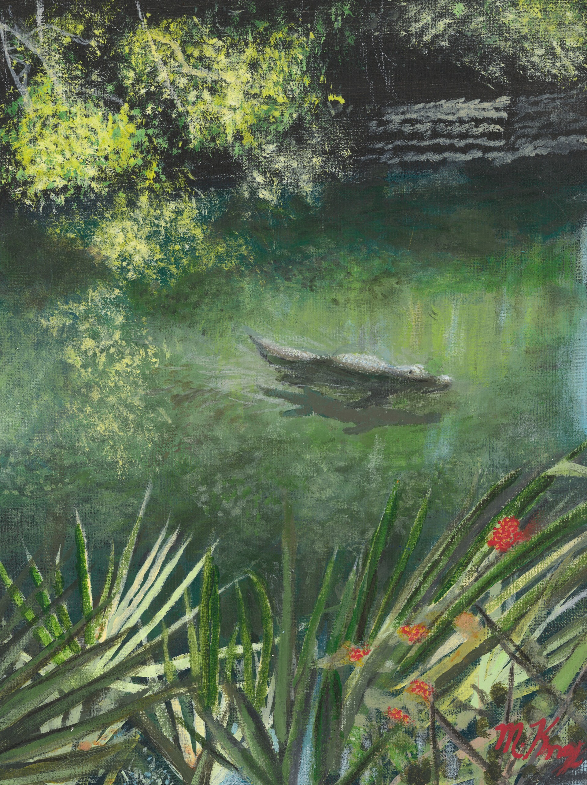 Gator in the Everglades by Mike Knox