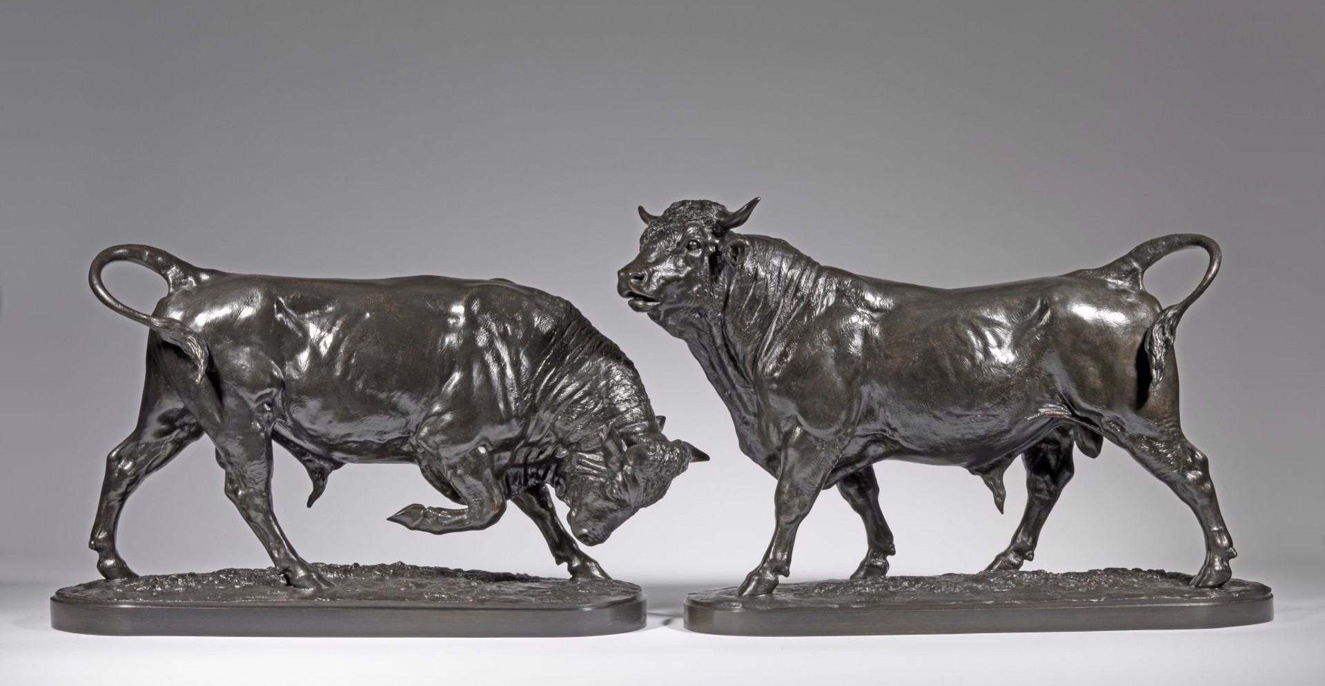 Charging Bull "Taureau Chargeant" and Standing Bull "Taureau Debout" by Isidore Jules Bonheur