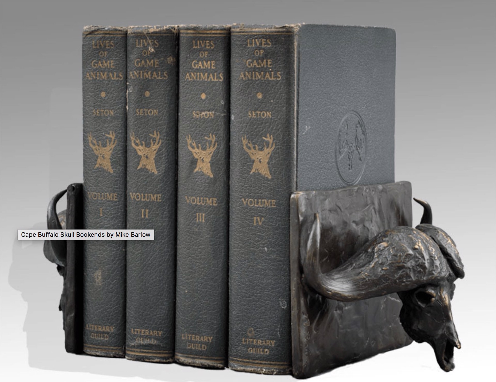 CAPE BUFFALO SKULL BOOKENDS by Mike Barlow
