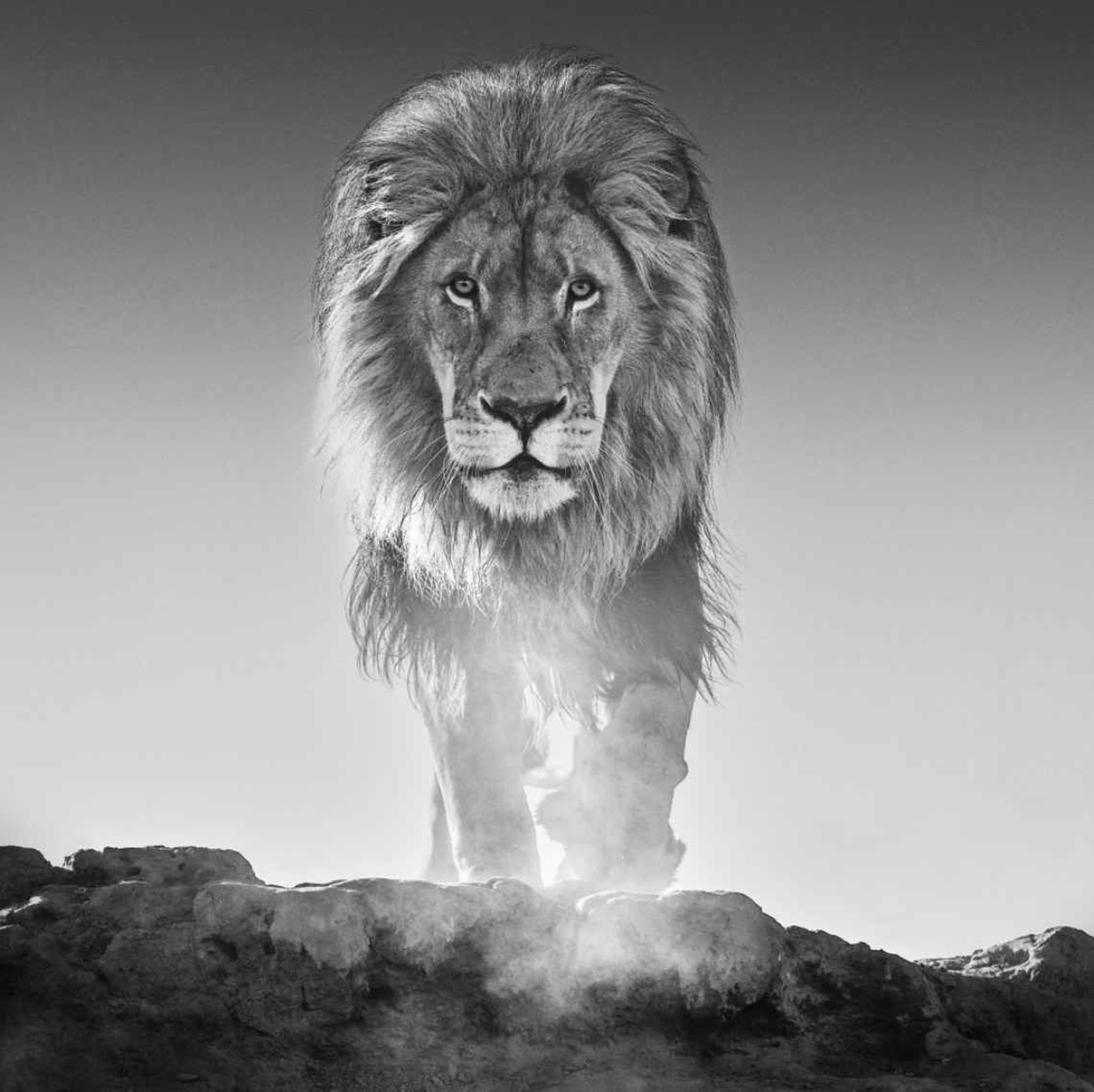The Old Testament by David Yarrow
