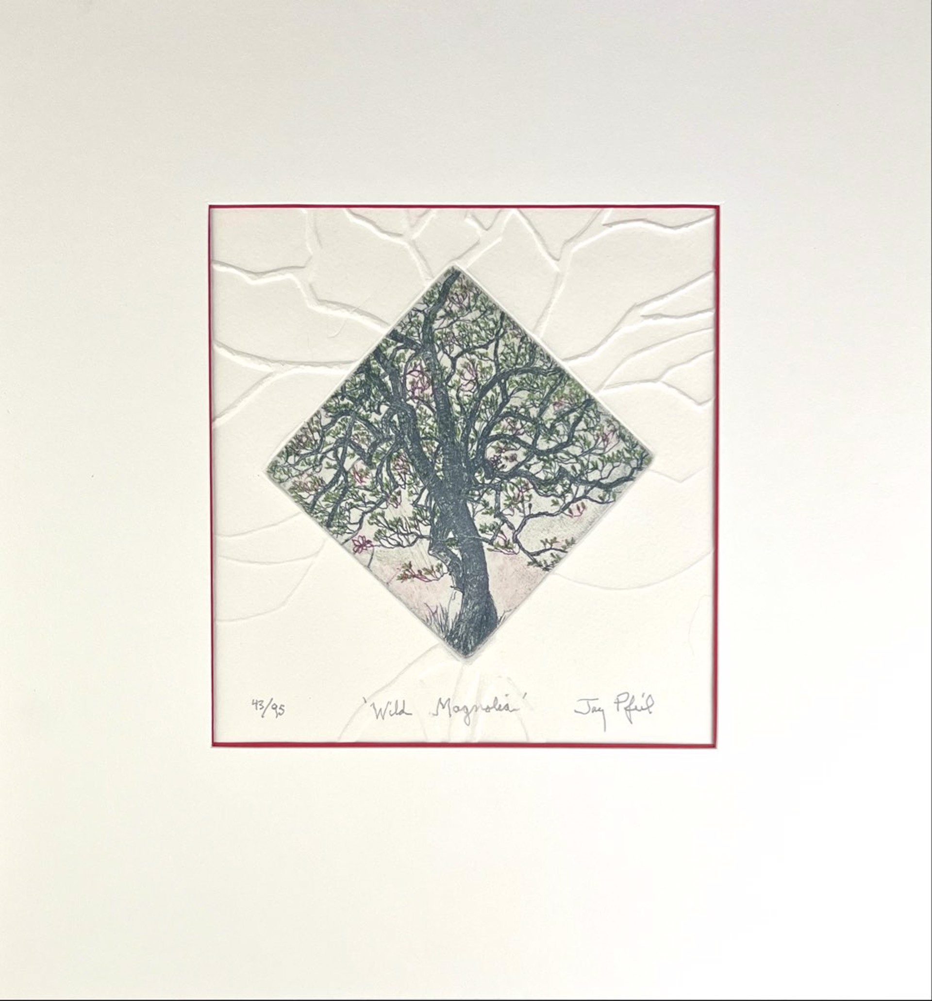Wild Magnolia (43/95) by Jay Pfeil