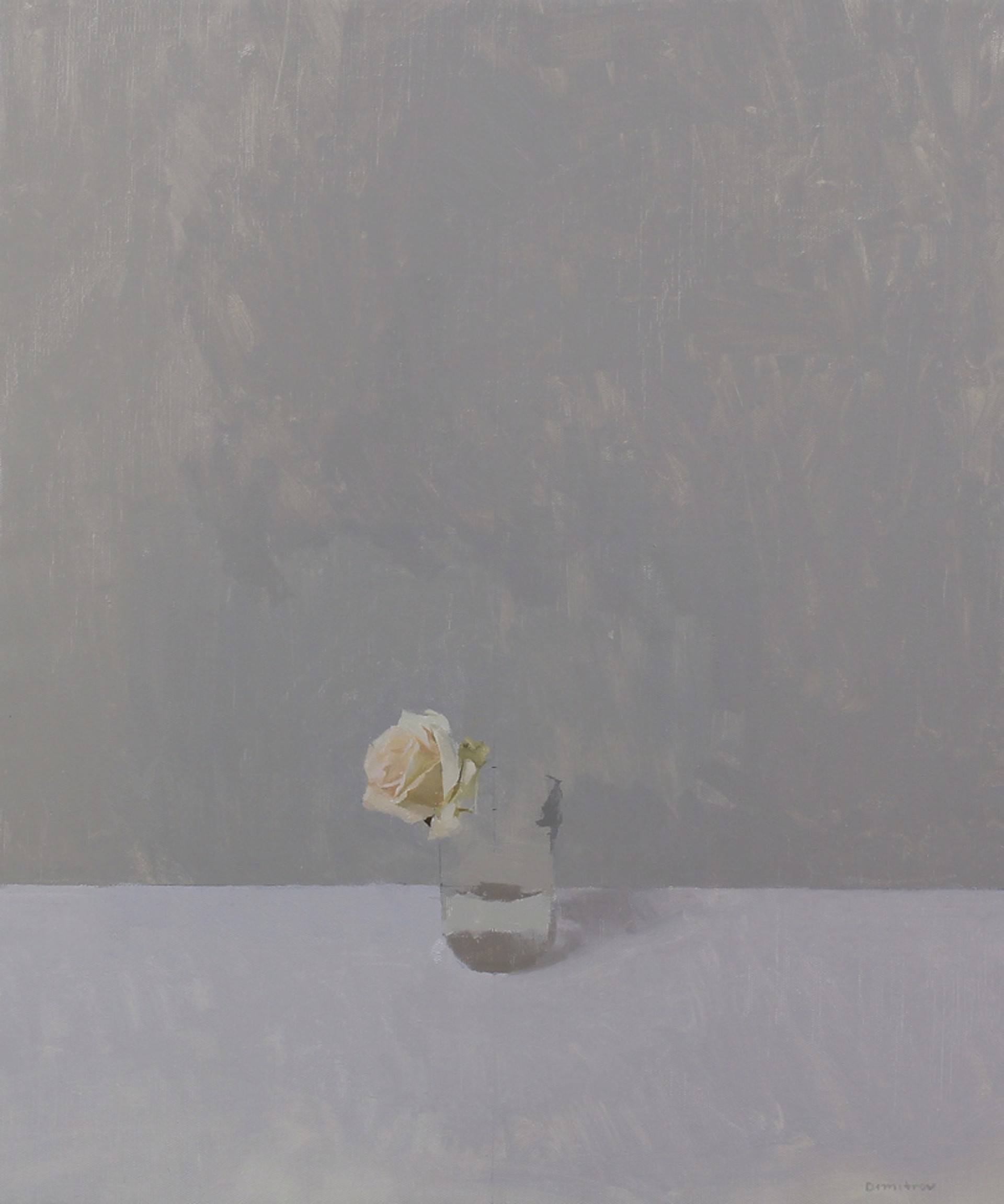 White Rose by Martin Dimitrov