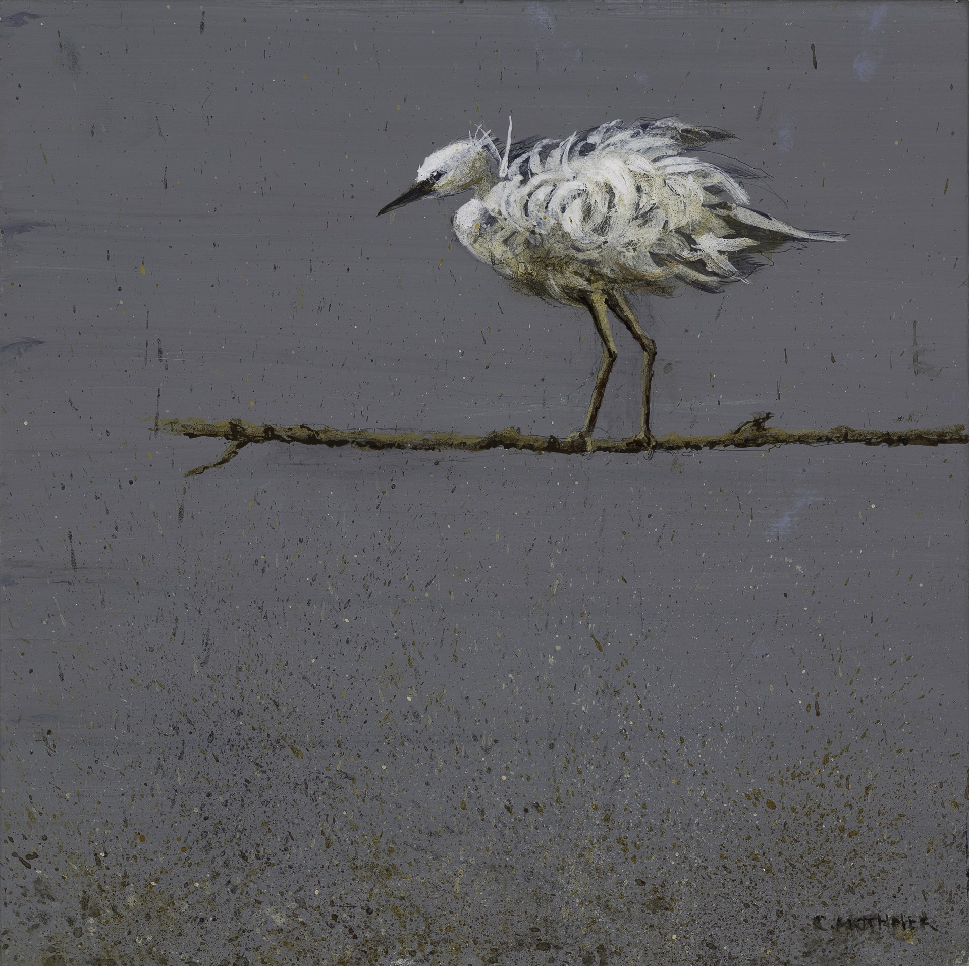 Bird on Limb by Carol Mothner