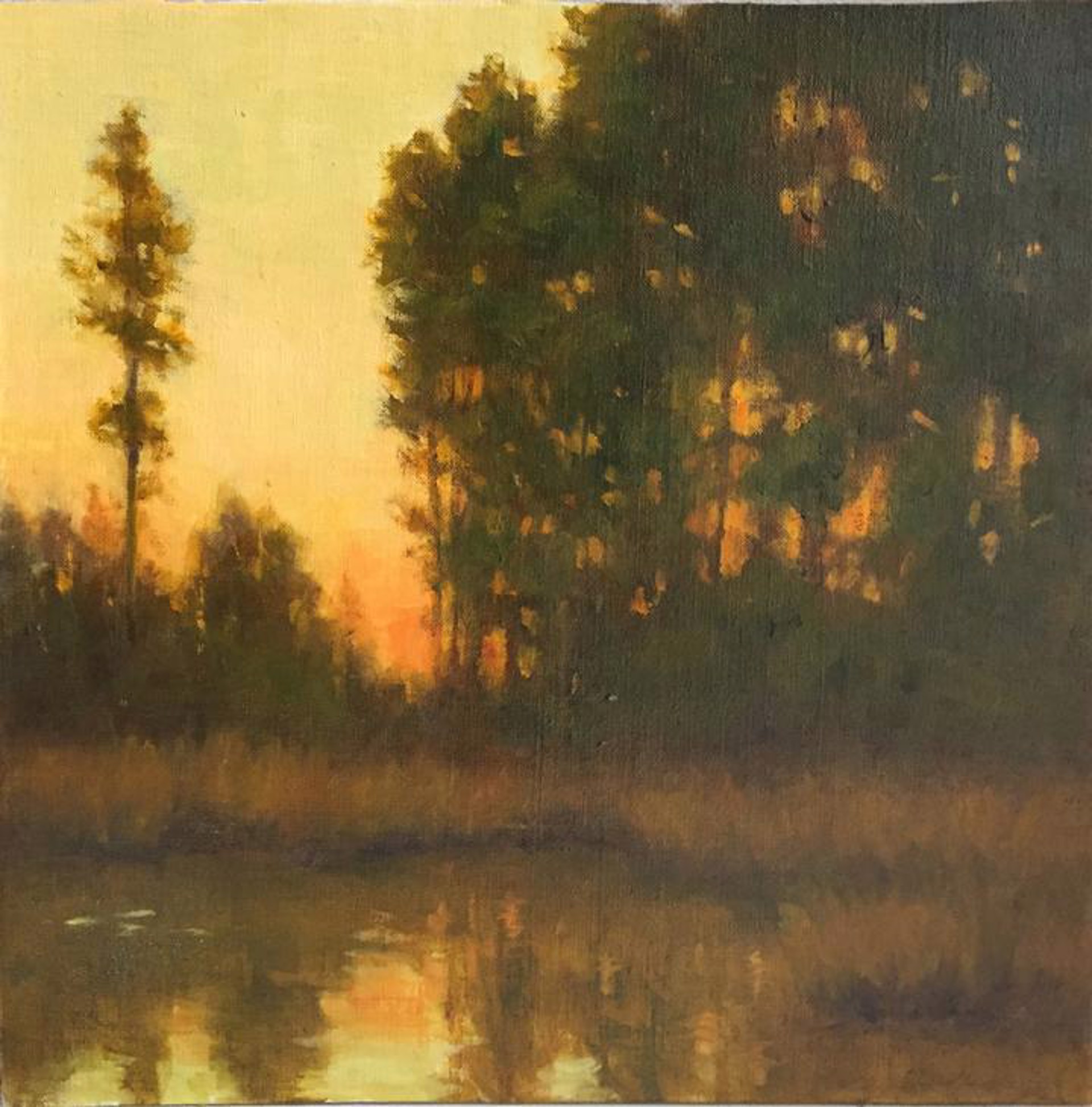 Piney Woods Evening by Deborah Paris