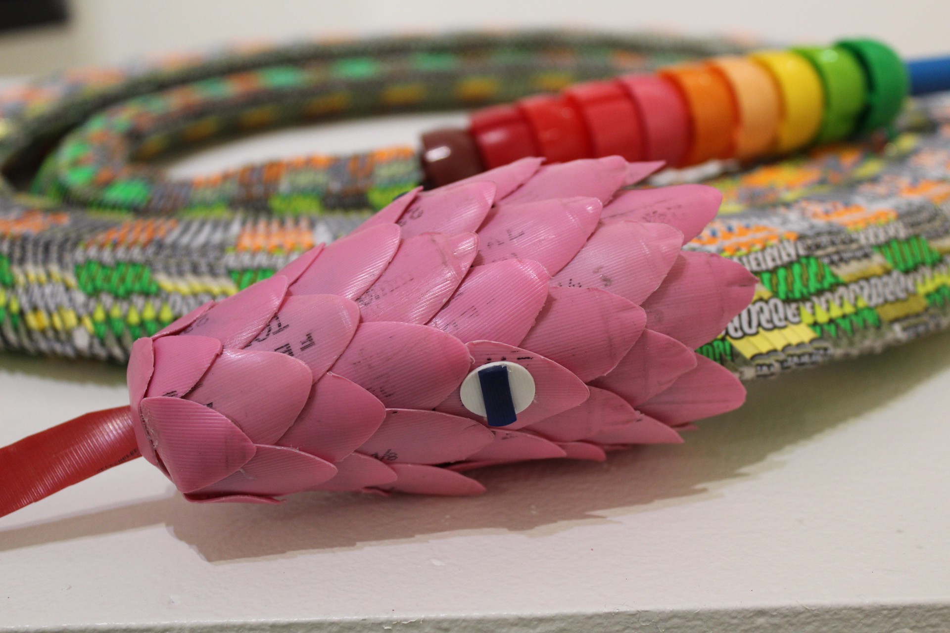Pink-Headed Snake by Alex Lockwood
