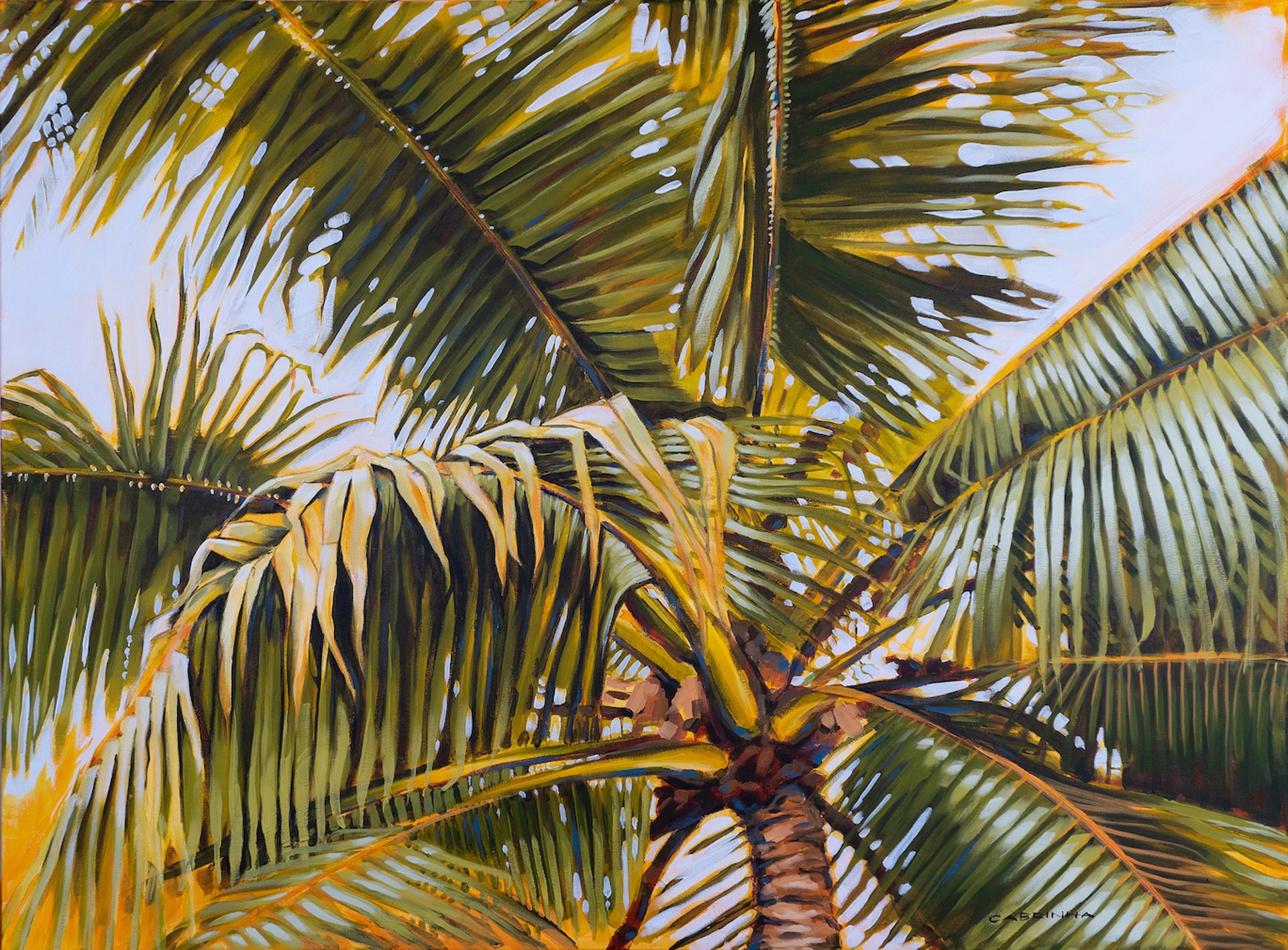 Morning Palm by Pete Cabrinha