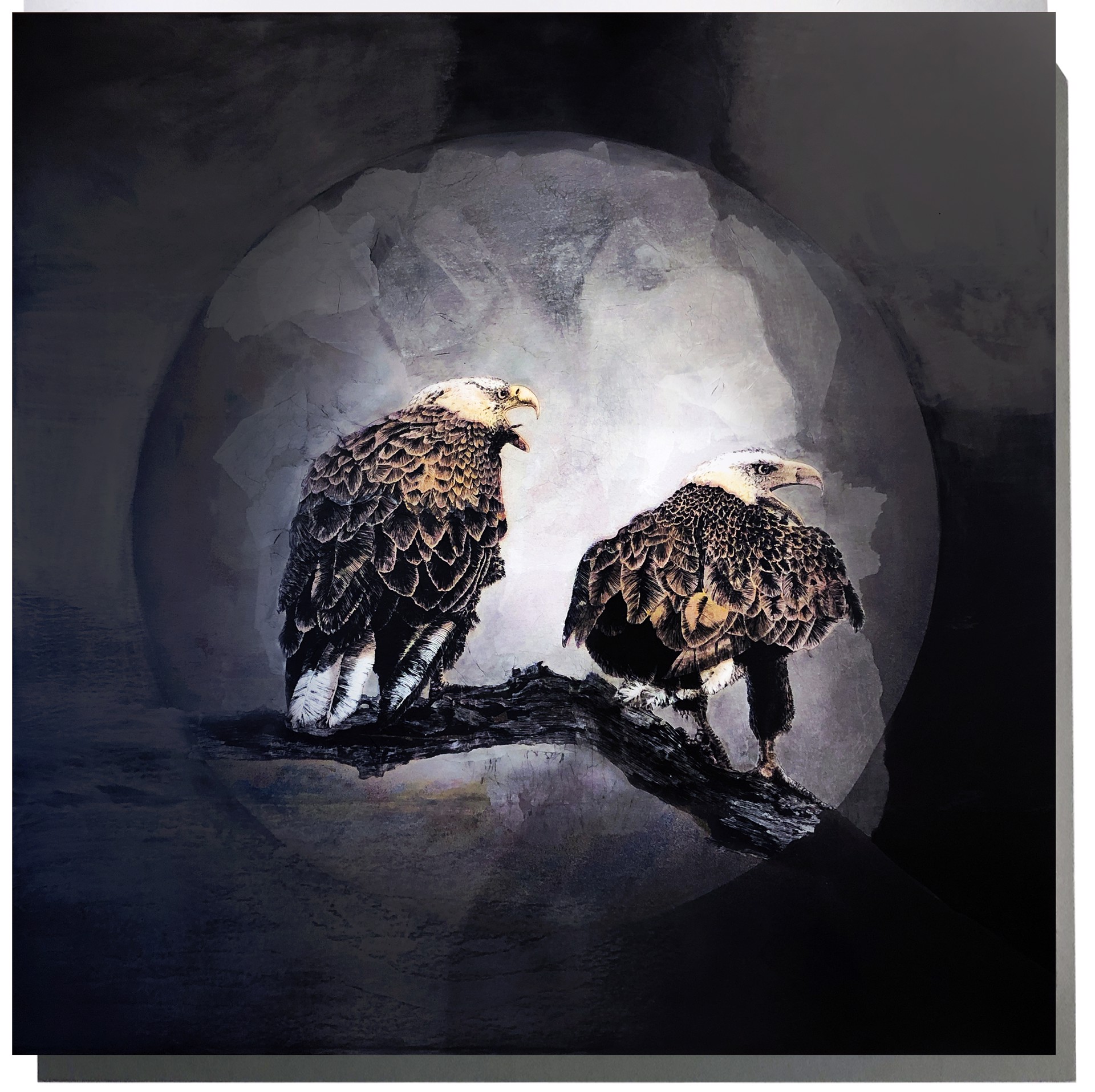 Chauvin Bald Eagles by Pippin Frisbie-Calder