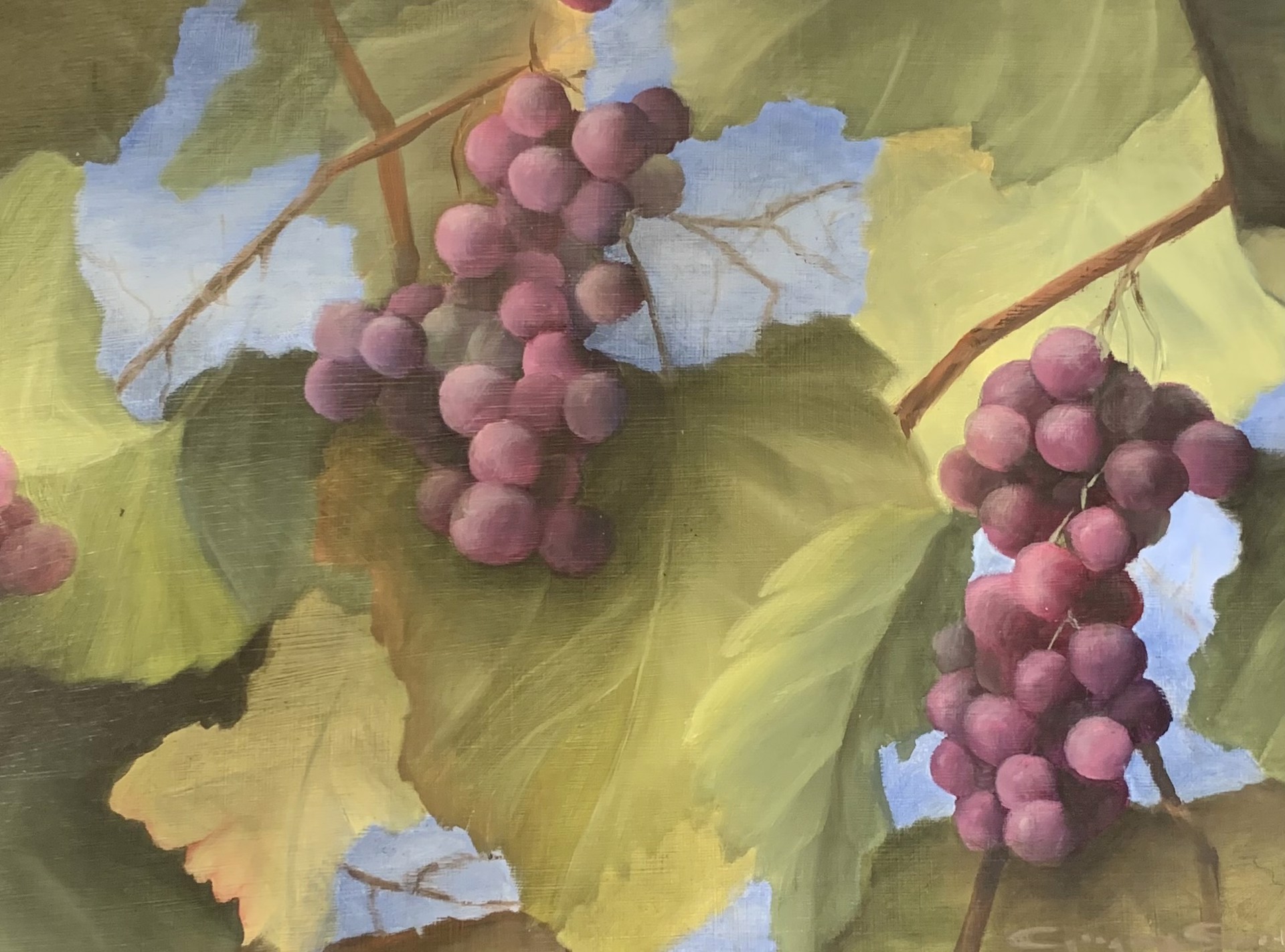 Grapes by Gregory Smith