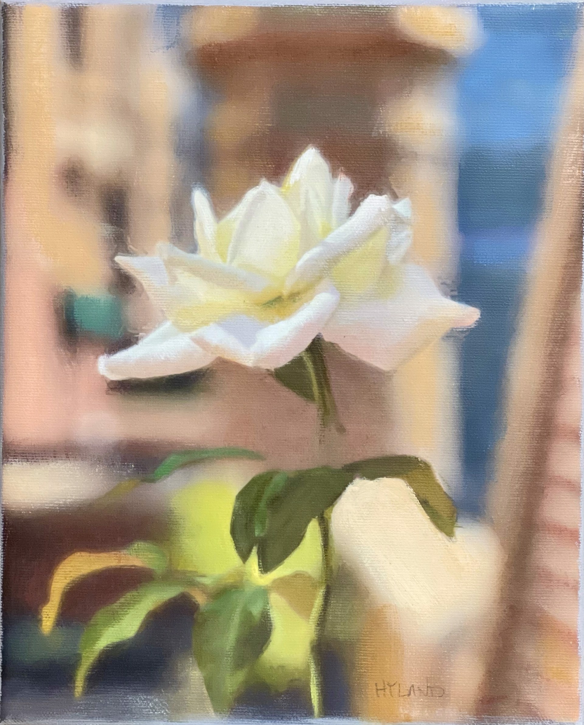 Tudor Rose by John Hyland