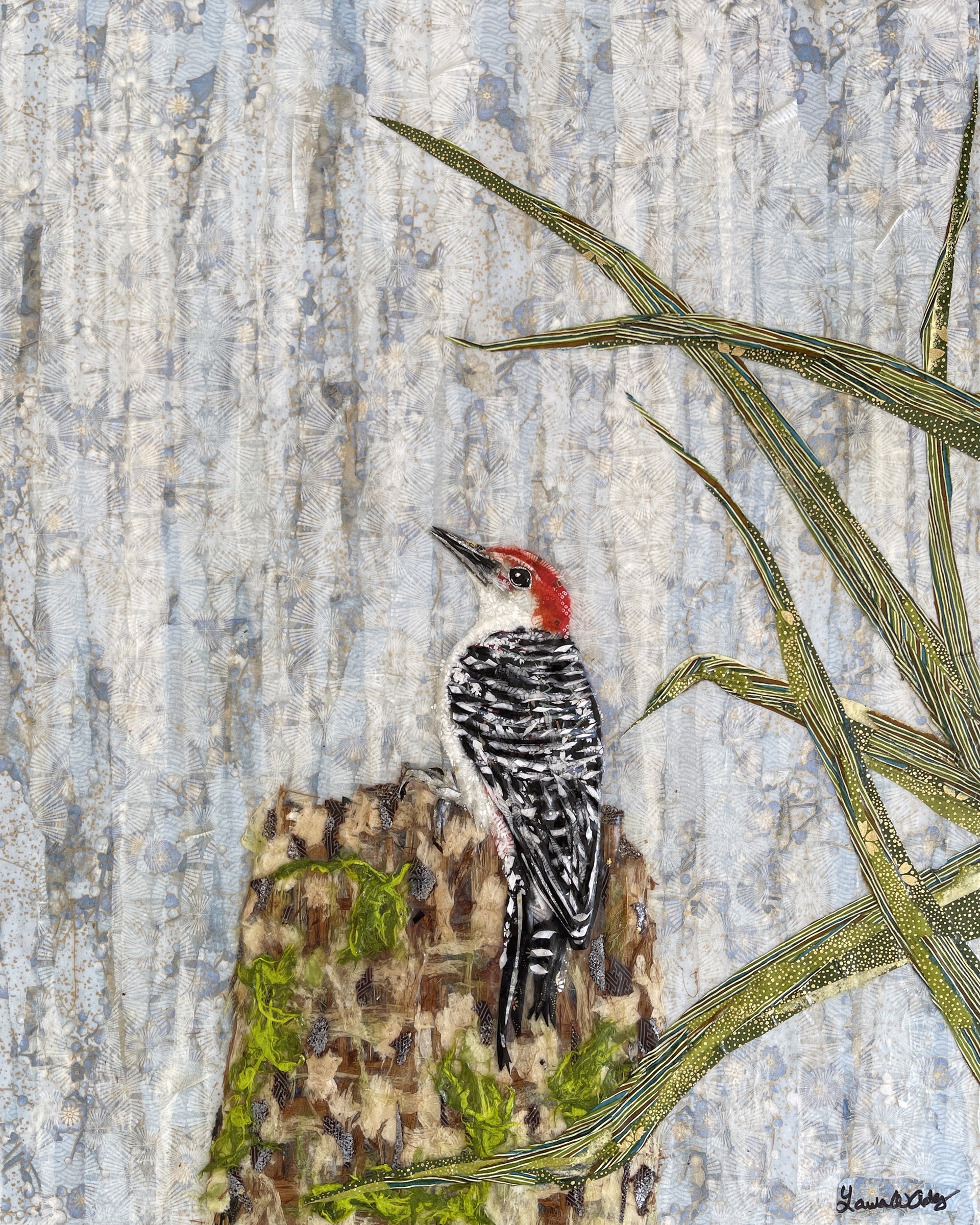Red-bellied Woodpecker by Laura Adams